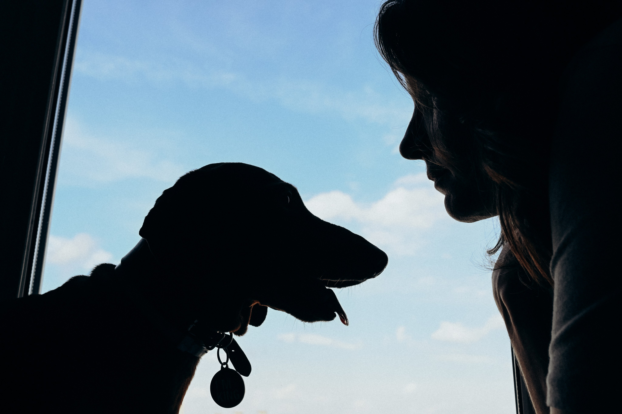 Фотограф анималист в Москве Ольга Агушева