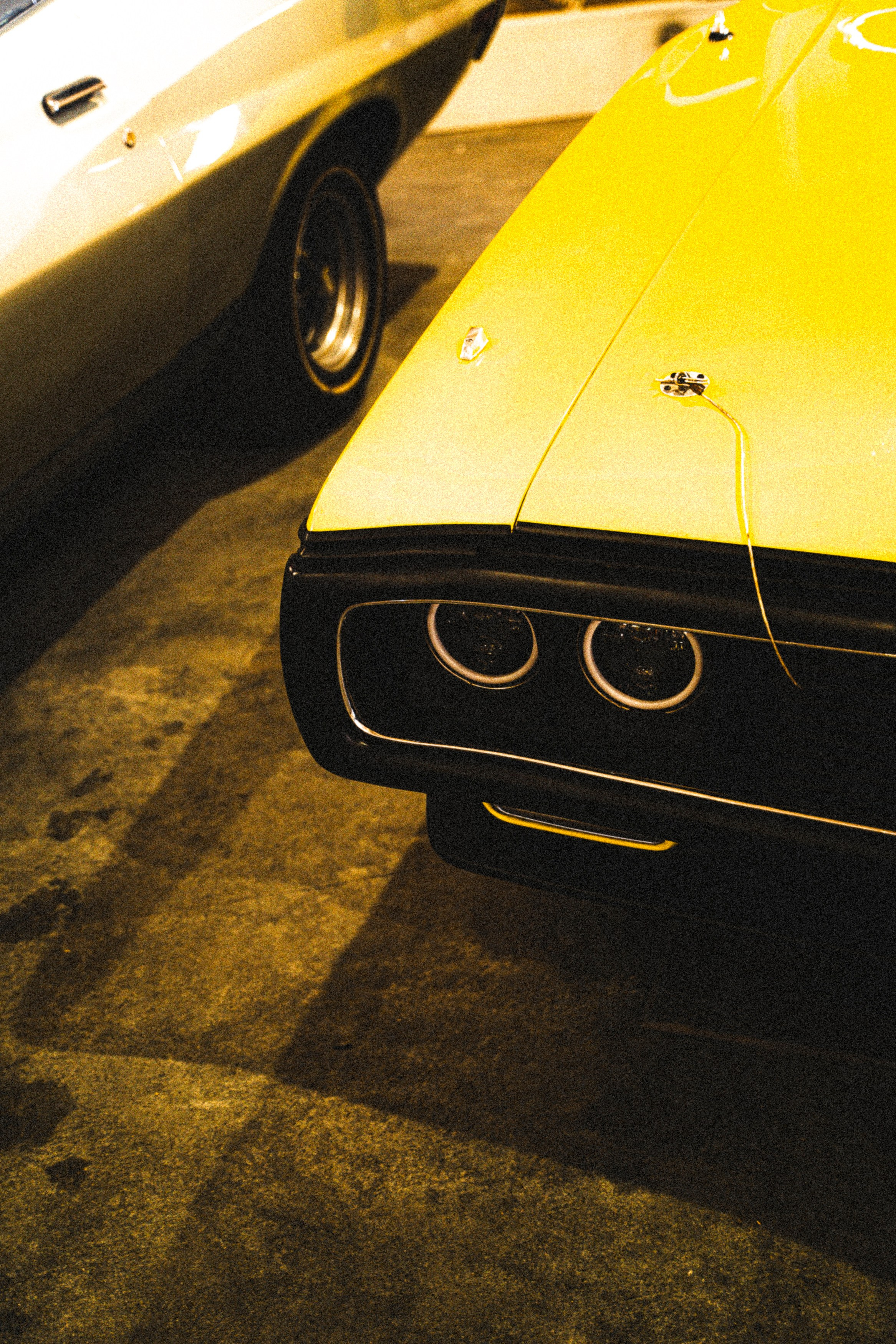 Autorancho. Фотограф Казань