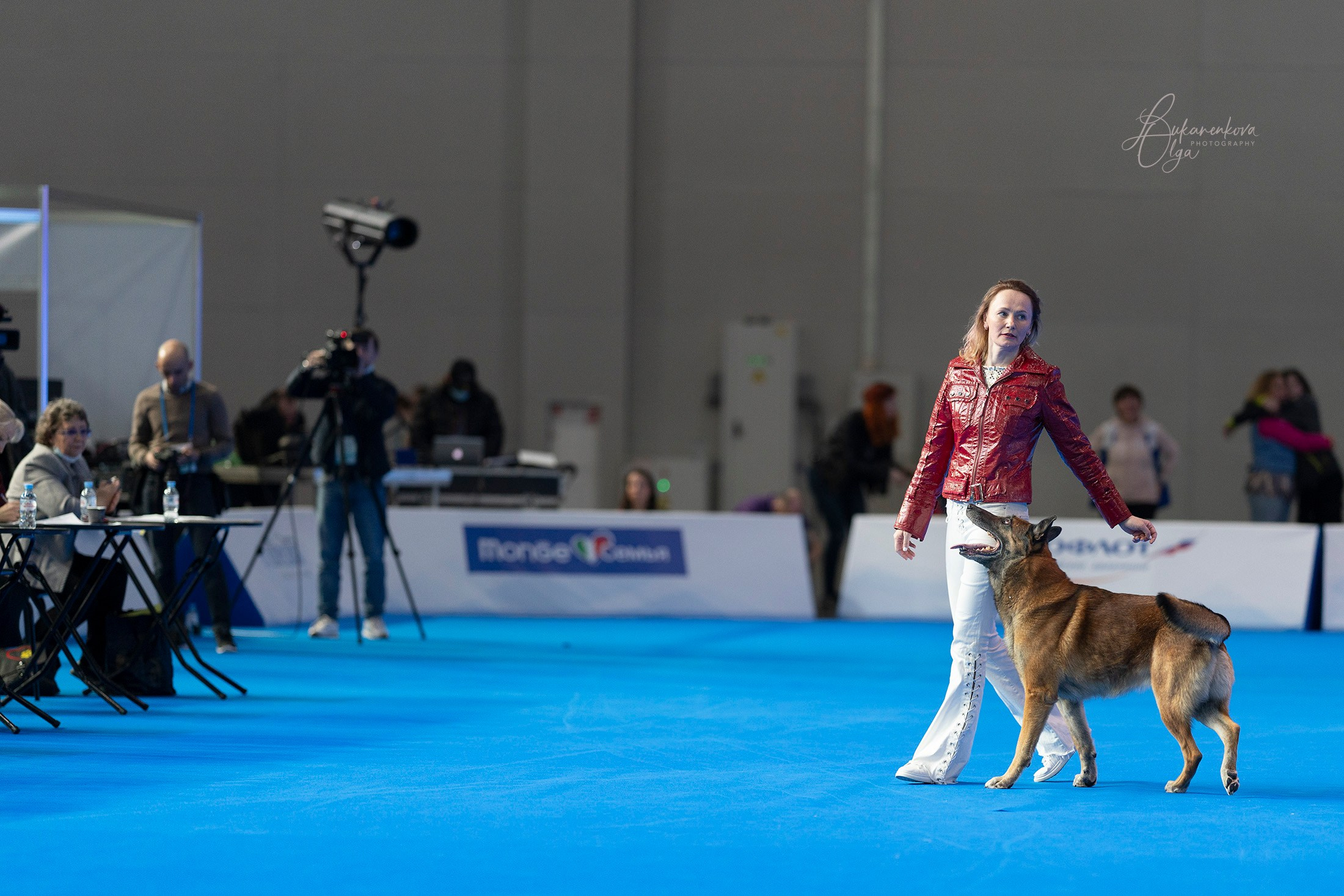 Танцы. Фотограф анималист Ольга Луканенкова в Москве