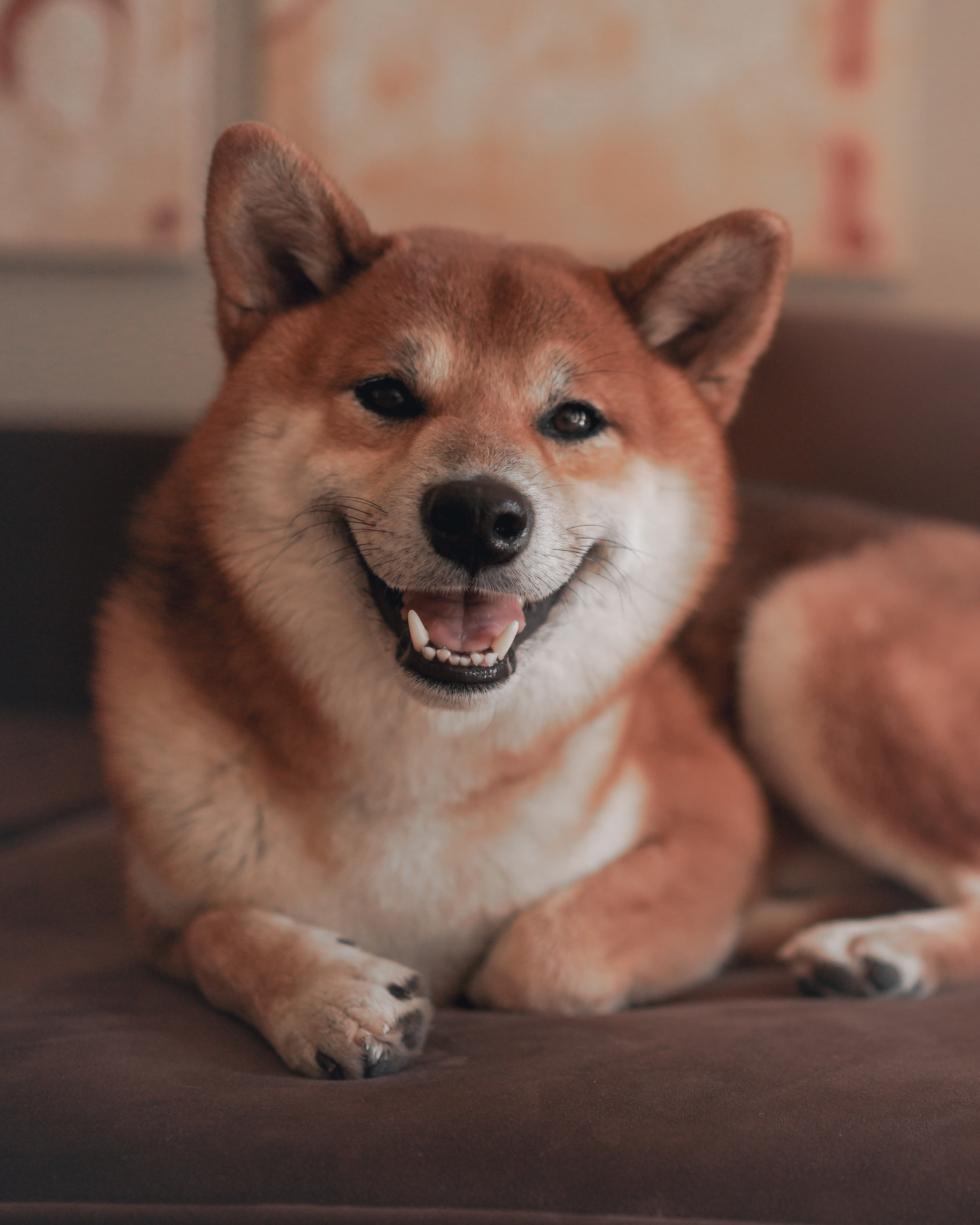 Катя. Женский, мужской портрет, семейные съемки в Москве. Контент съемка