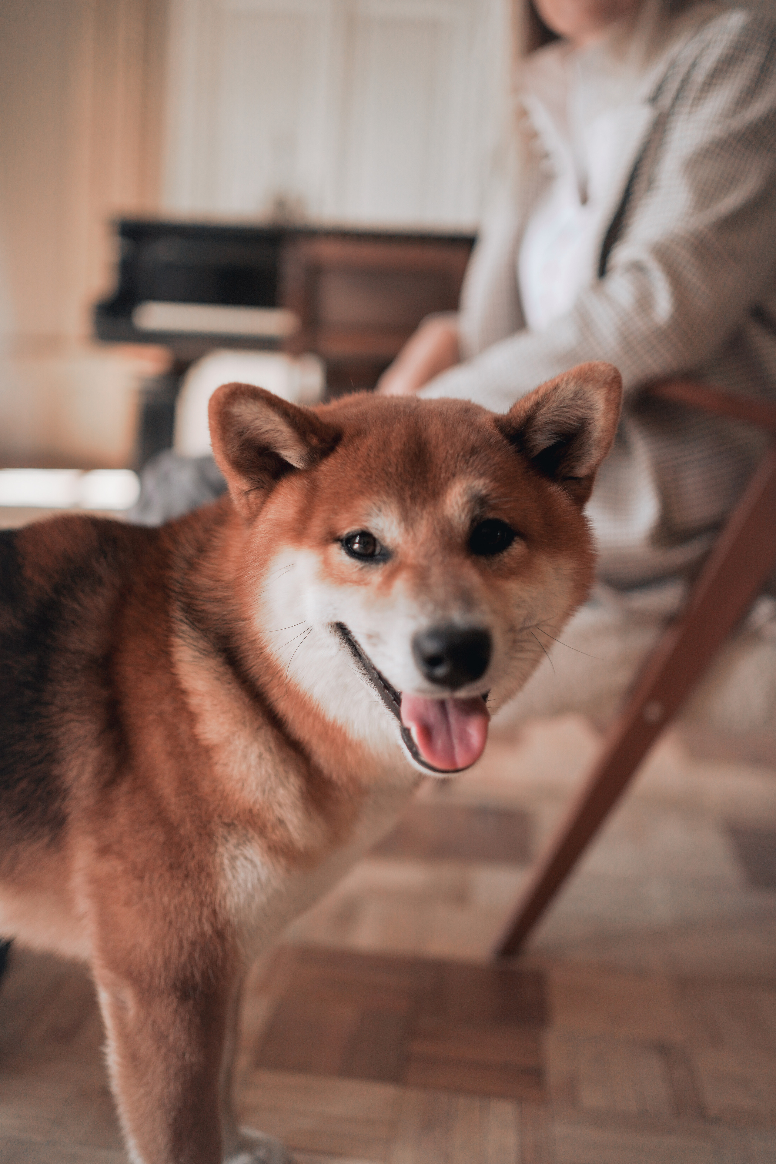 Катя. Женский, мужской портрет, семейные съемки в Москве. Контент съемка