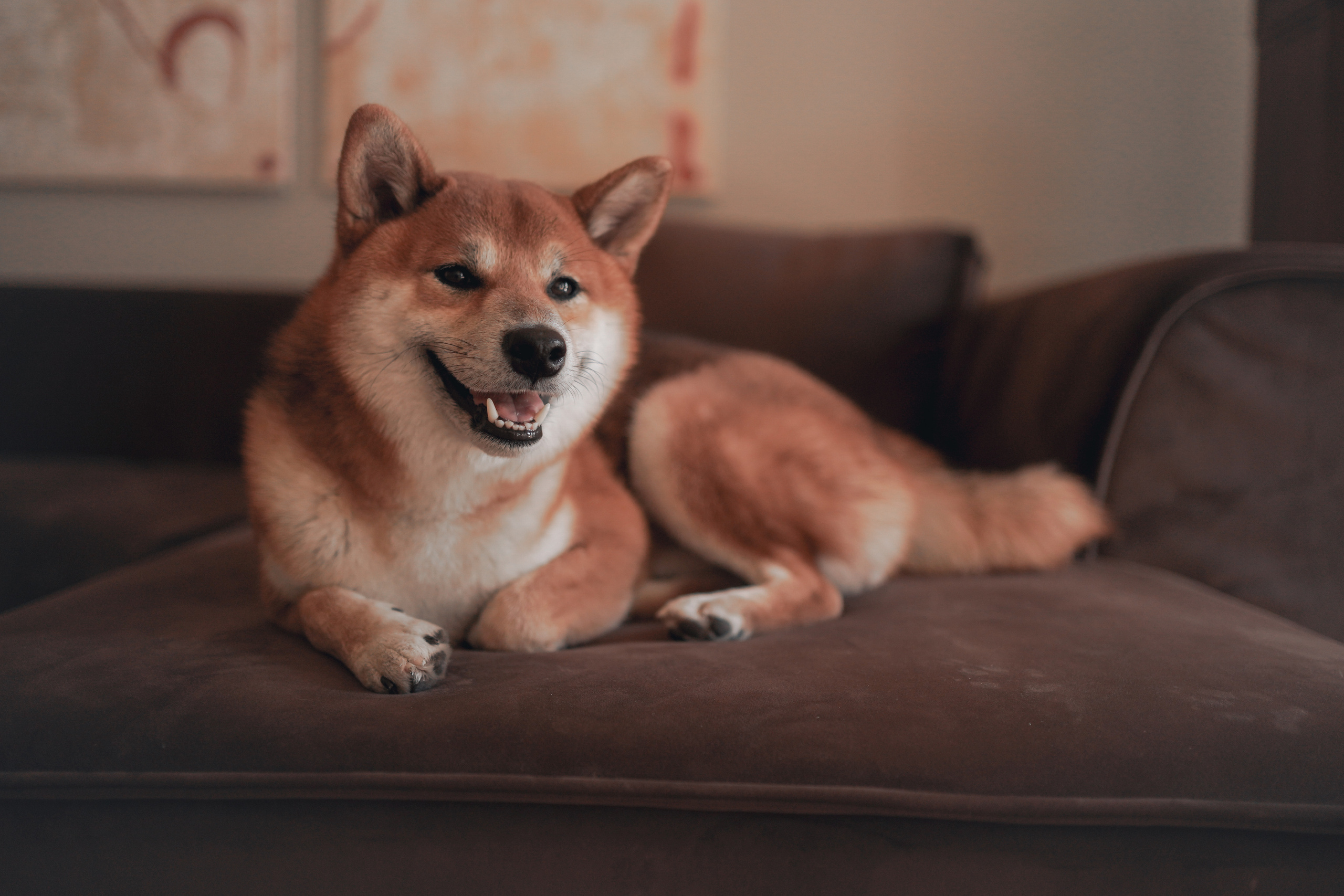 Катя. Женский, мужской портрет, семейные съемки в Москве. Контент съемка