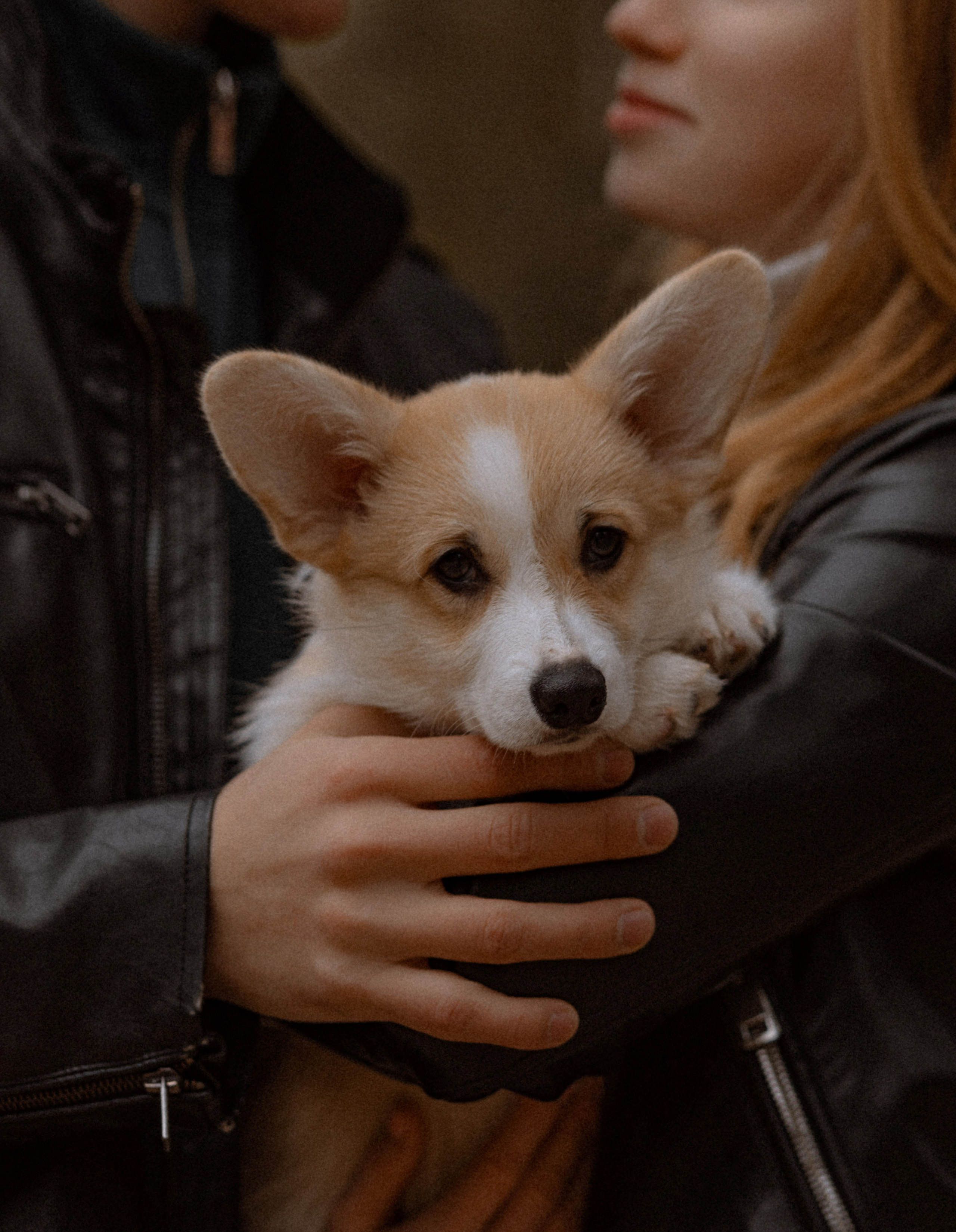 Love story. Многопрофильный фотограф в Санкт-Петербурге Светлана Вельгас