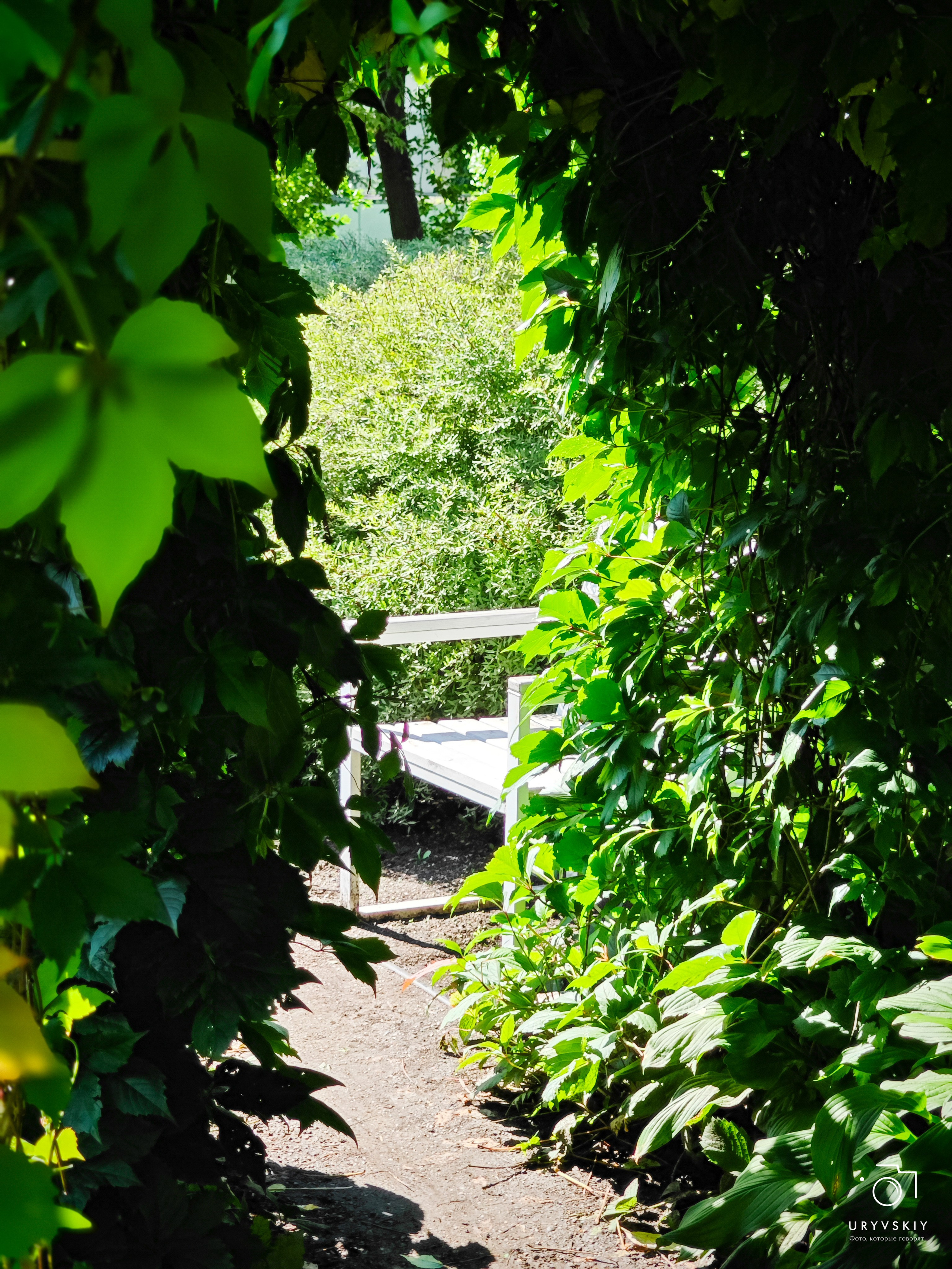 Больничный дворик. Игорь Урывский. Фотограф Красноярск