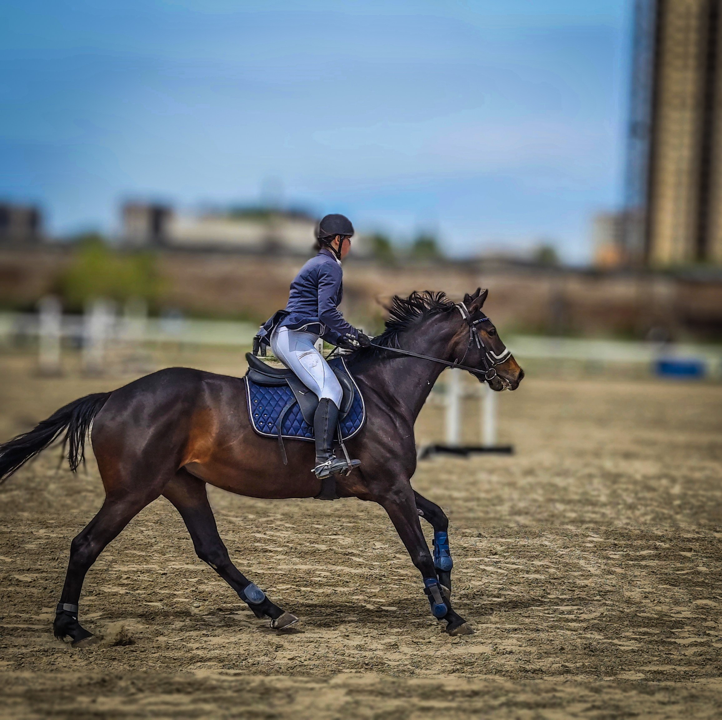 Красноярский ипподром. Открытие сезона 2025. Игорь Урывский. Фотограф Красноярск