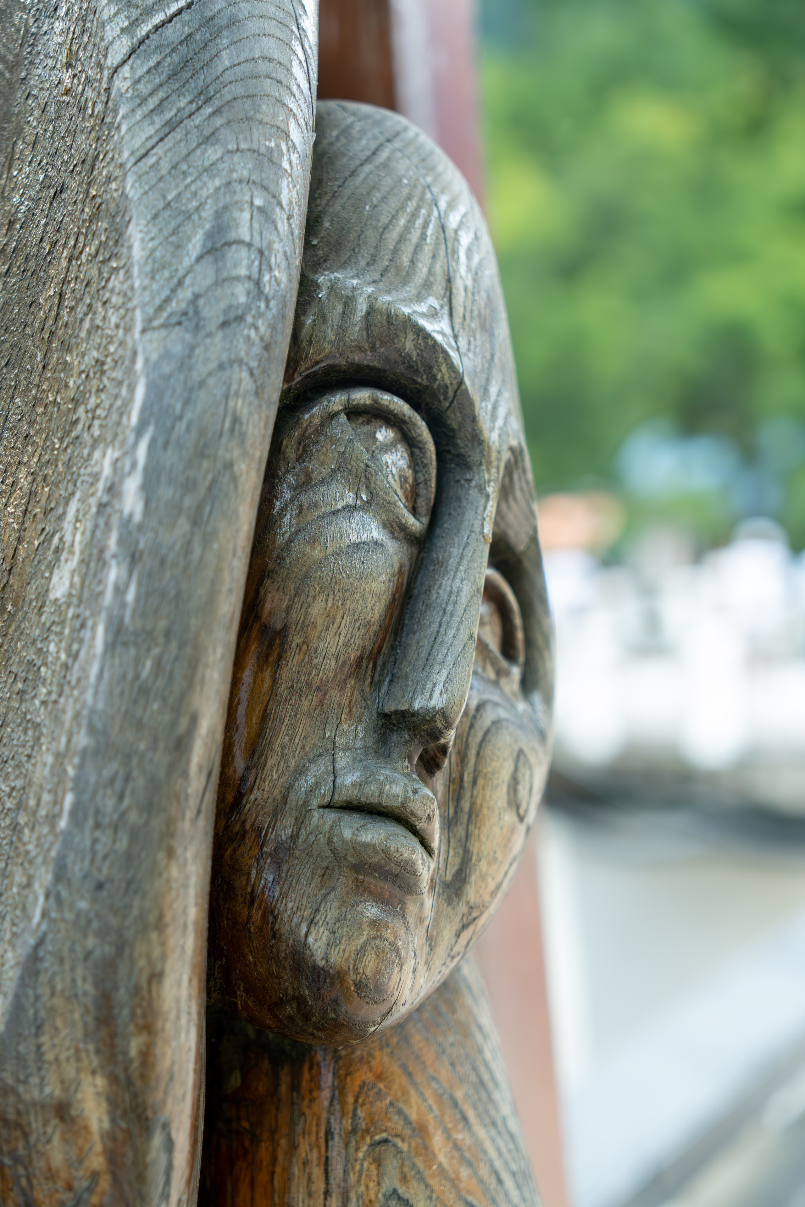 MICE мероприятие — тур по Абхазии. Репортажный фотограф в Красной Поляне и Сочи Павлюченко Екатерина