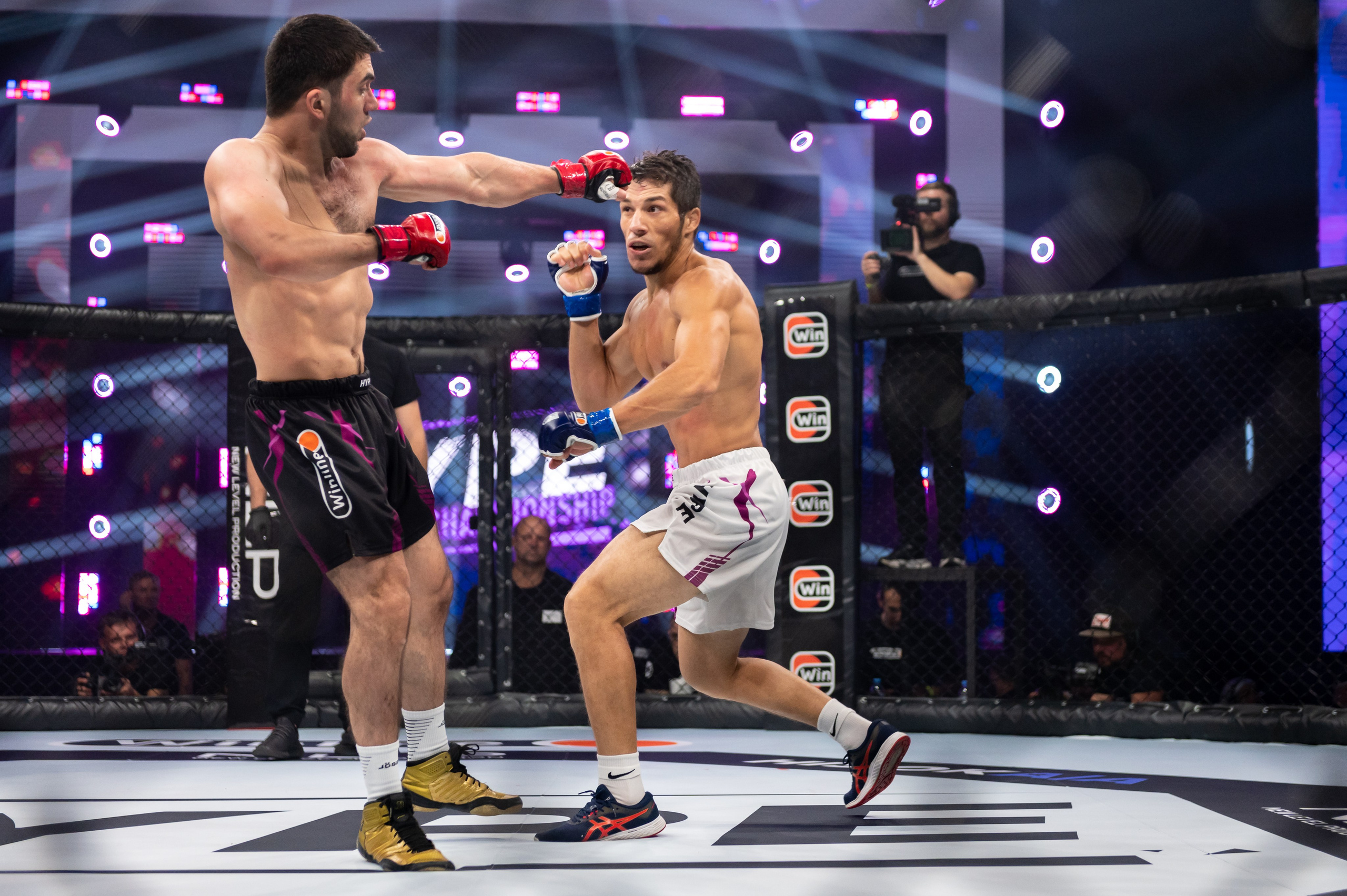 Бои. Репортажный фотограф в Красной Поляне и Сочи Павлюченко Екатерина