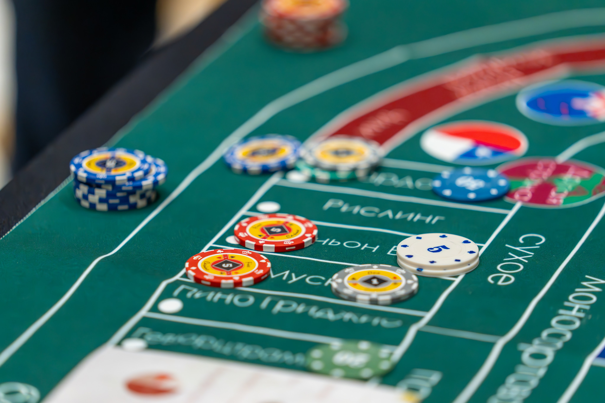 MICE мероприятие для компании «Базис». Репортажный фотограф в Красной Поляне и Сочи Павлюченко Екатерина