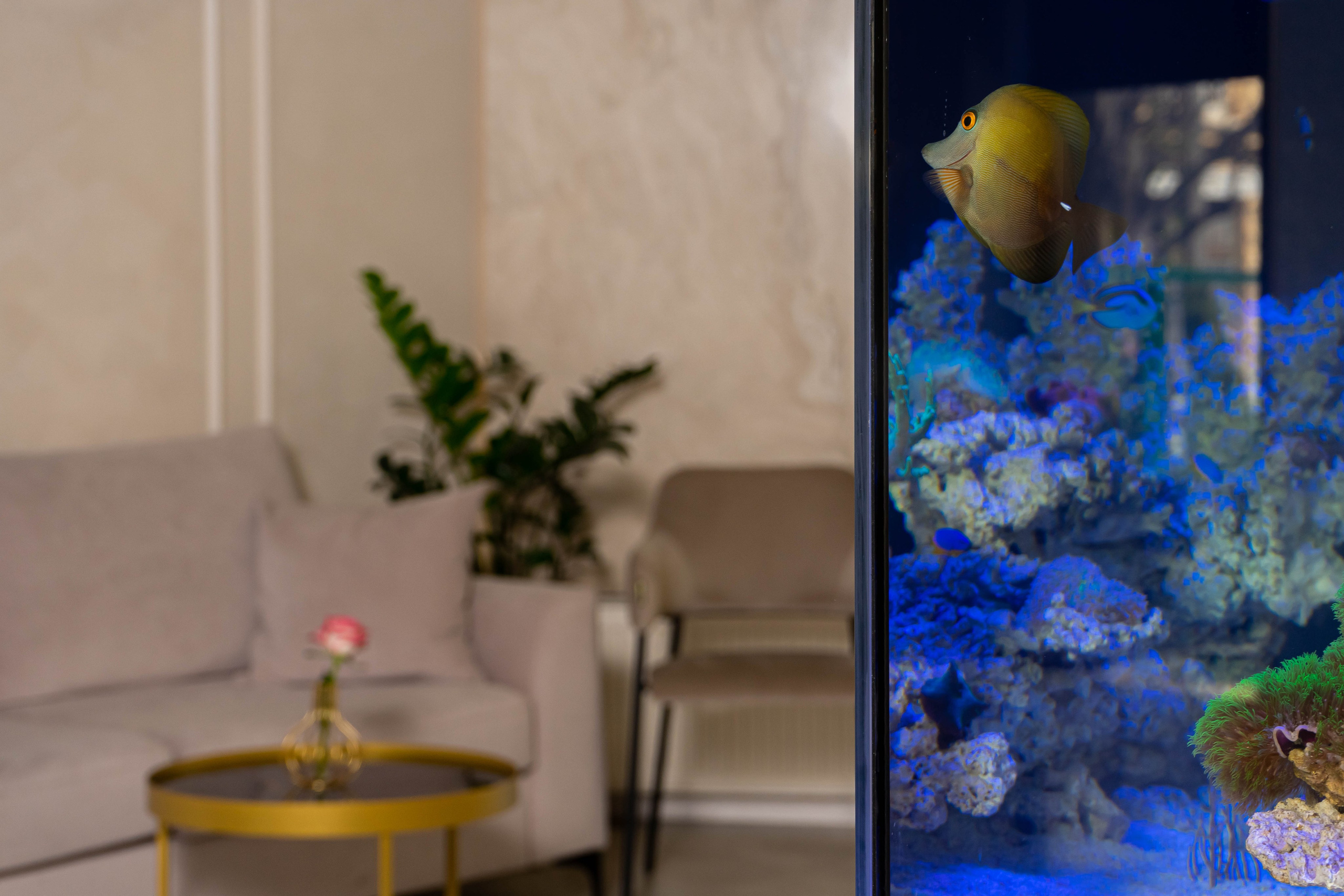 Медицинские учреждения