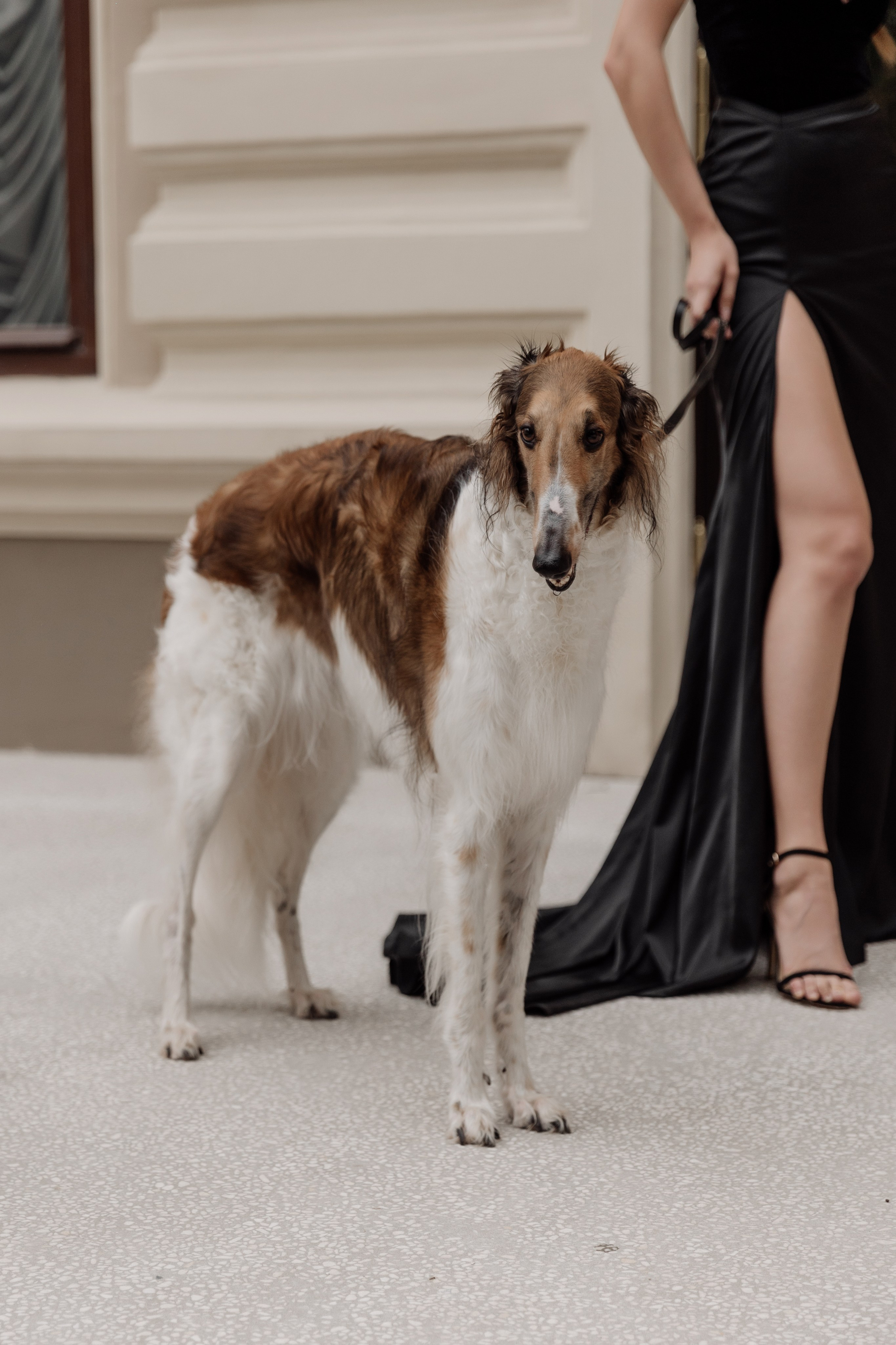 ВEHIND YOU. Фотограф в Казани Гузель Зайнуллина