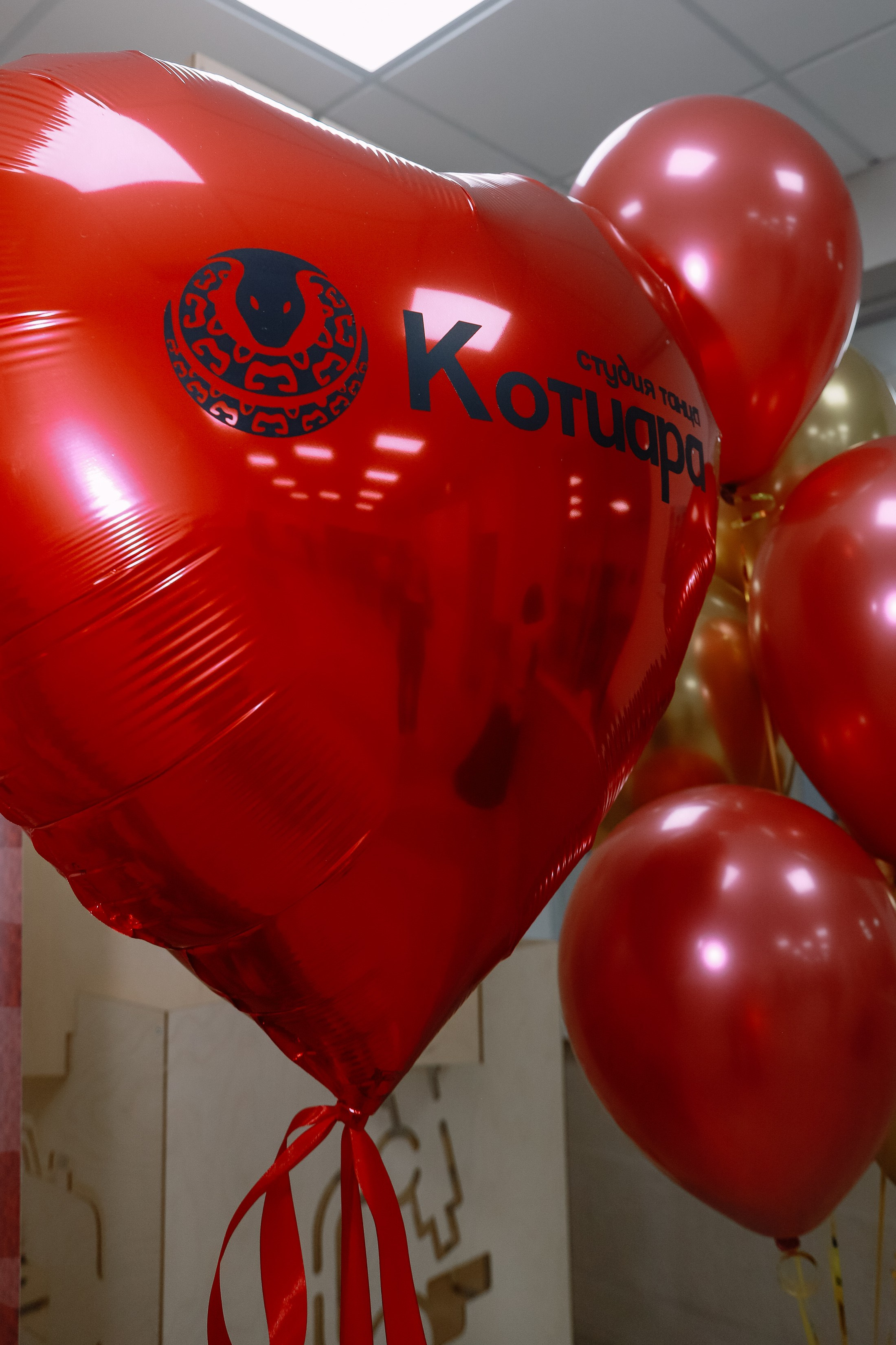 Котиара _ Отчетник. Фотограф Юлия Мальцева