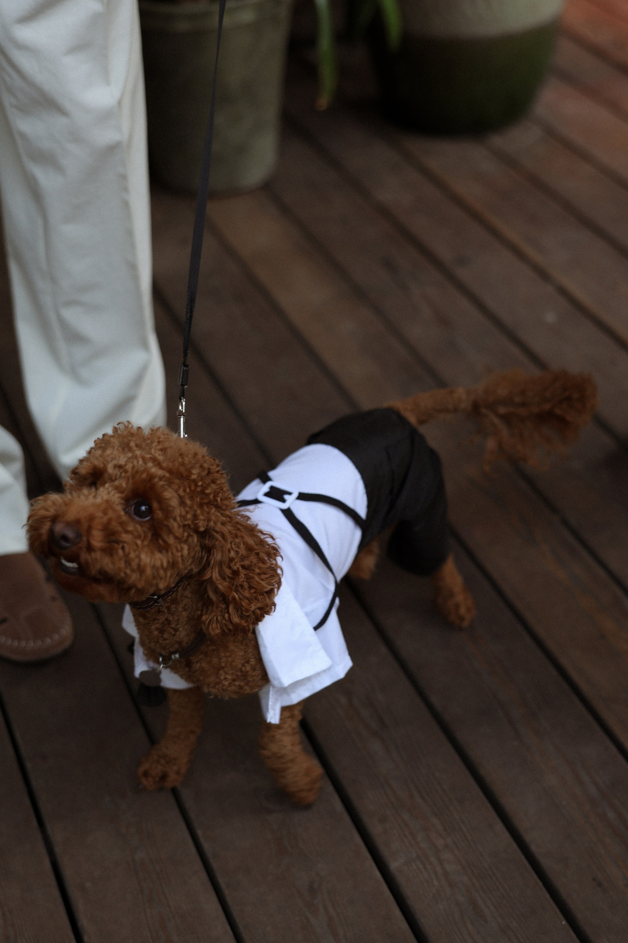 «Всегда» — Юлия и Александр. Свадебный и семейный фотограф в Москве Ломова Ирина