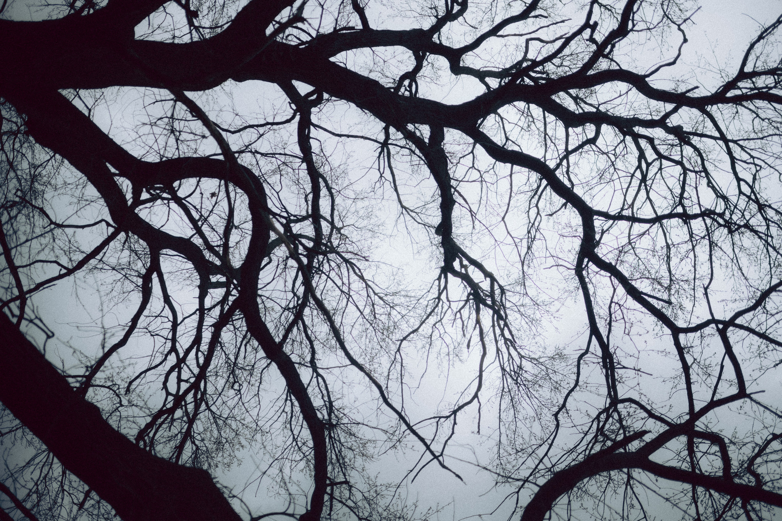 Считать капли дождя, сбиваясь со счета. Фотограф Москва Селюкова Юлия