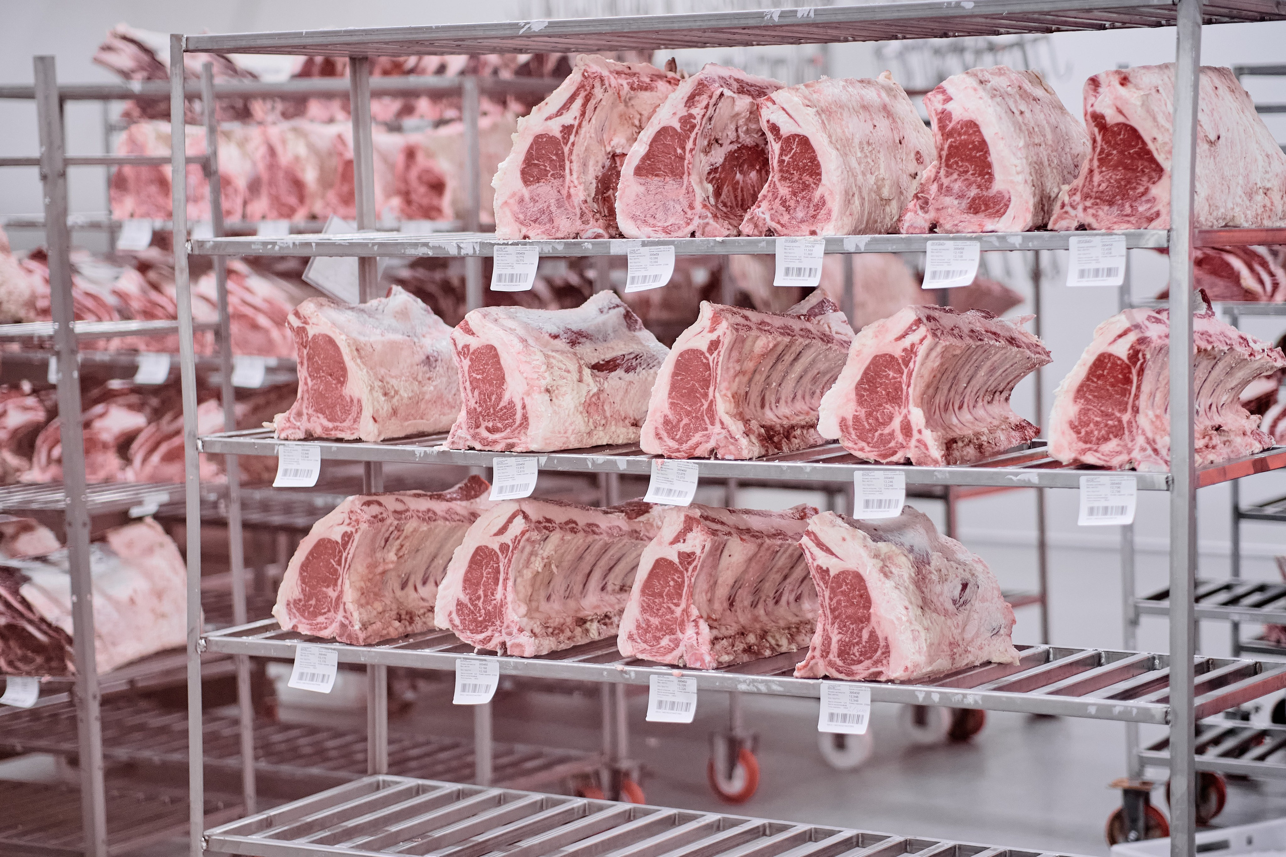 Фотограф на мероприятие. Light Media — креативный видеопродакшн