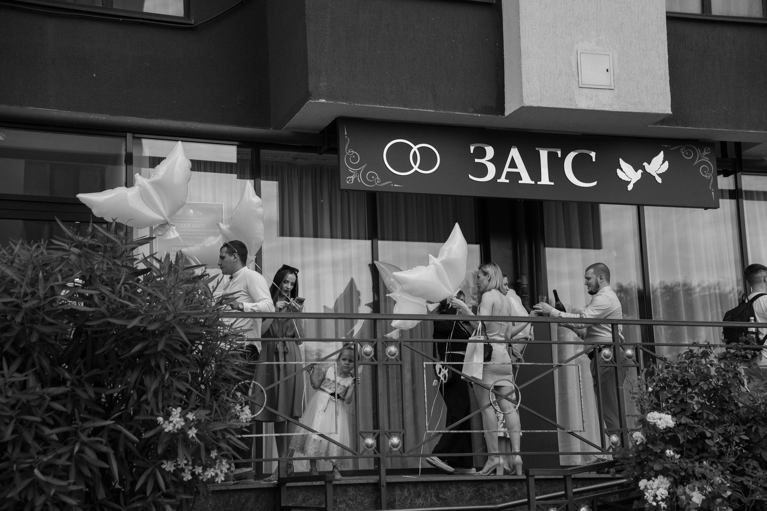 Свадьба в летний день с прогулкой в парке и свадебным ужином в загородной клубе. Свадебный, репортажный и портретный фотограф Сочи, Краснодар. Александра Зайцева