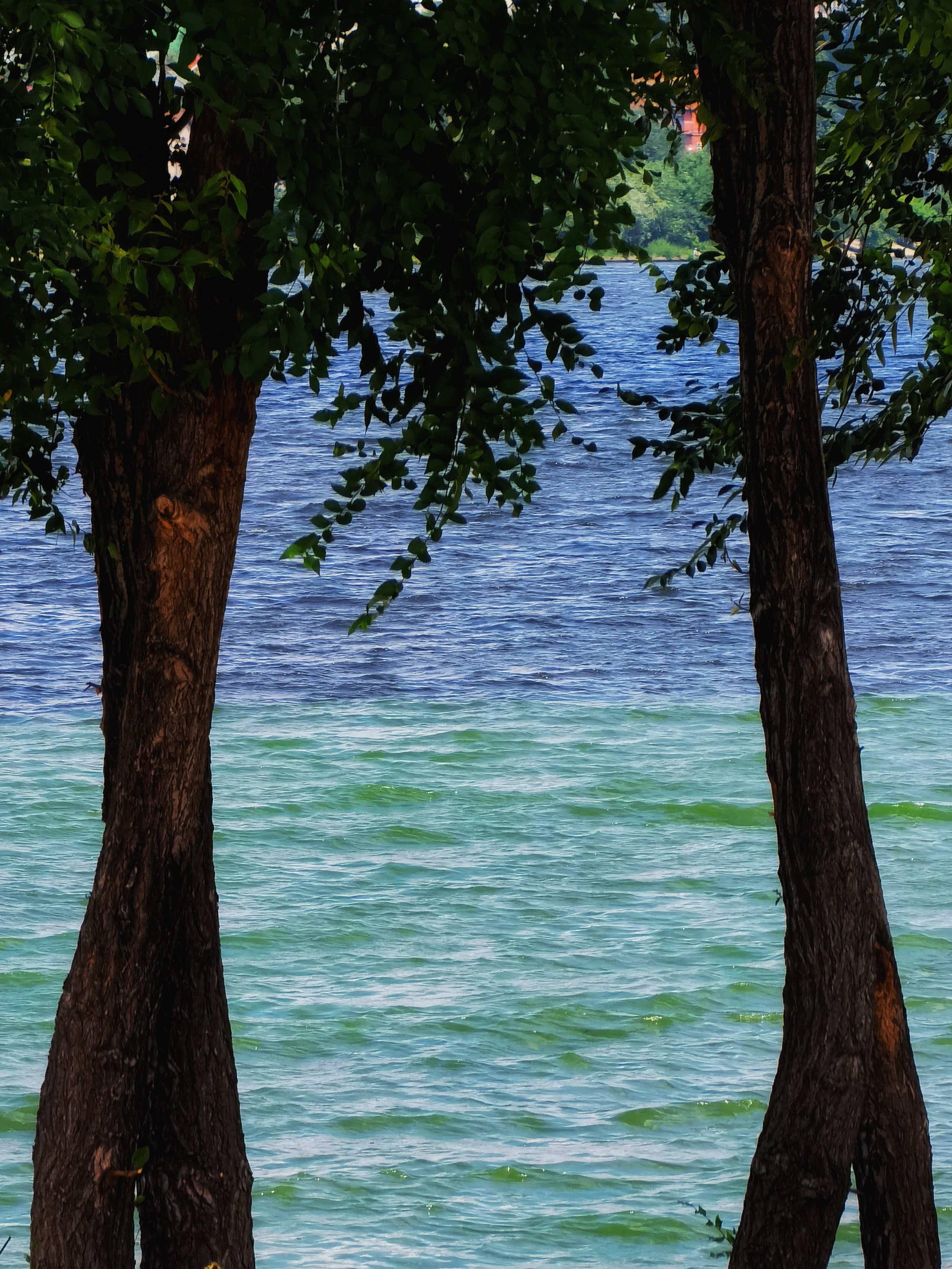 Стрит и пейзажи. Главная