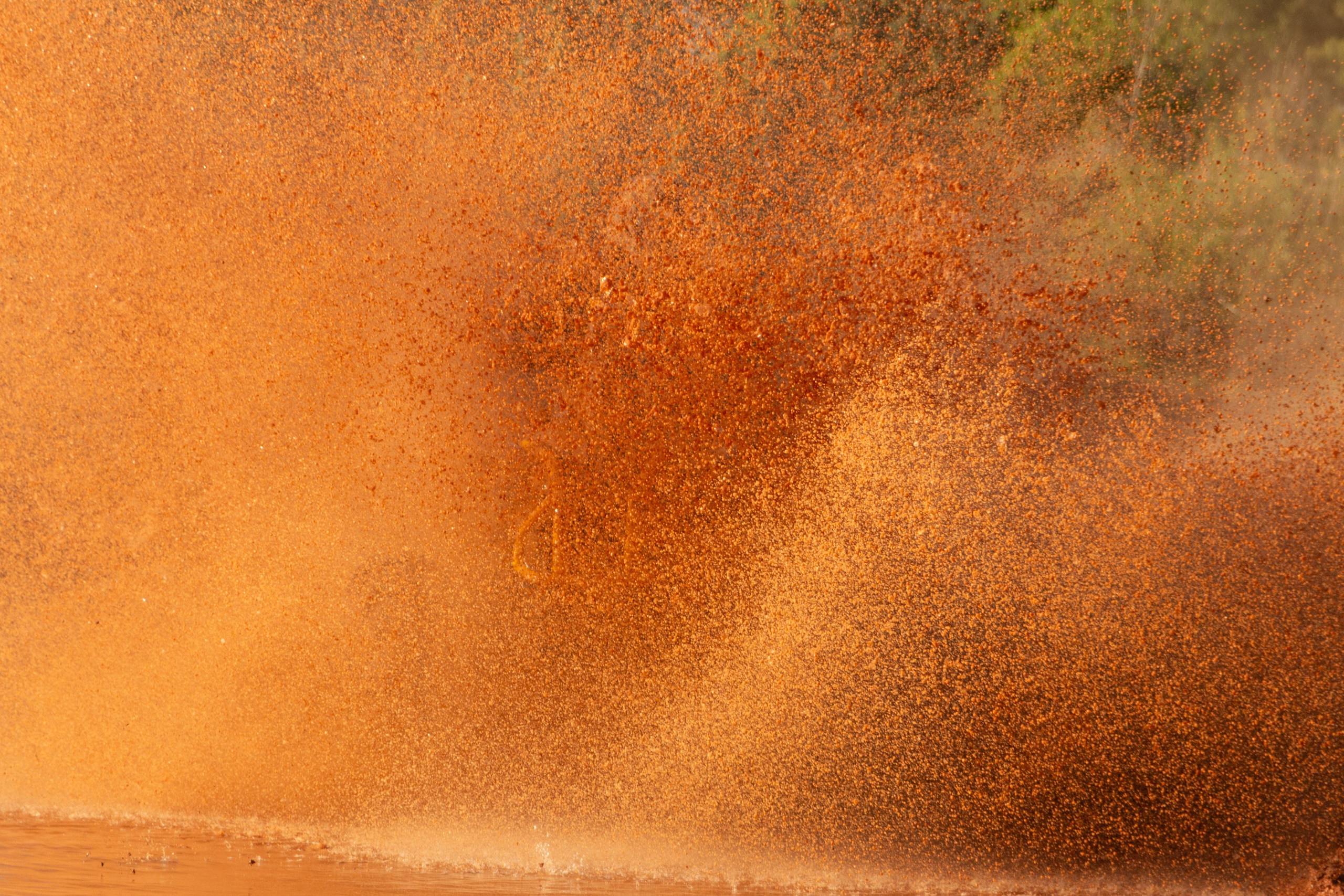 Открытие квадро-мото сезона 2025. Олег Романов. Мастер фото по спорту