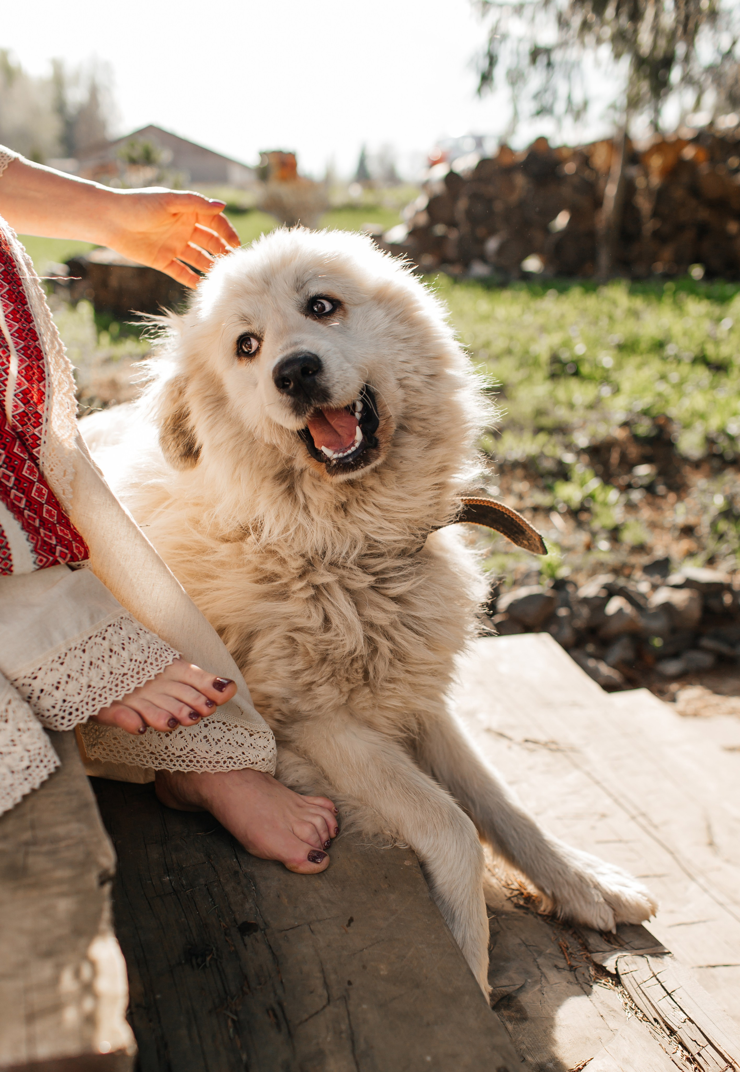 Фотосессия для личного бренда хозяйки усадьбы. Коммерческий фотограф в Москве, Наталия Горячева