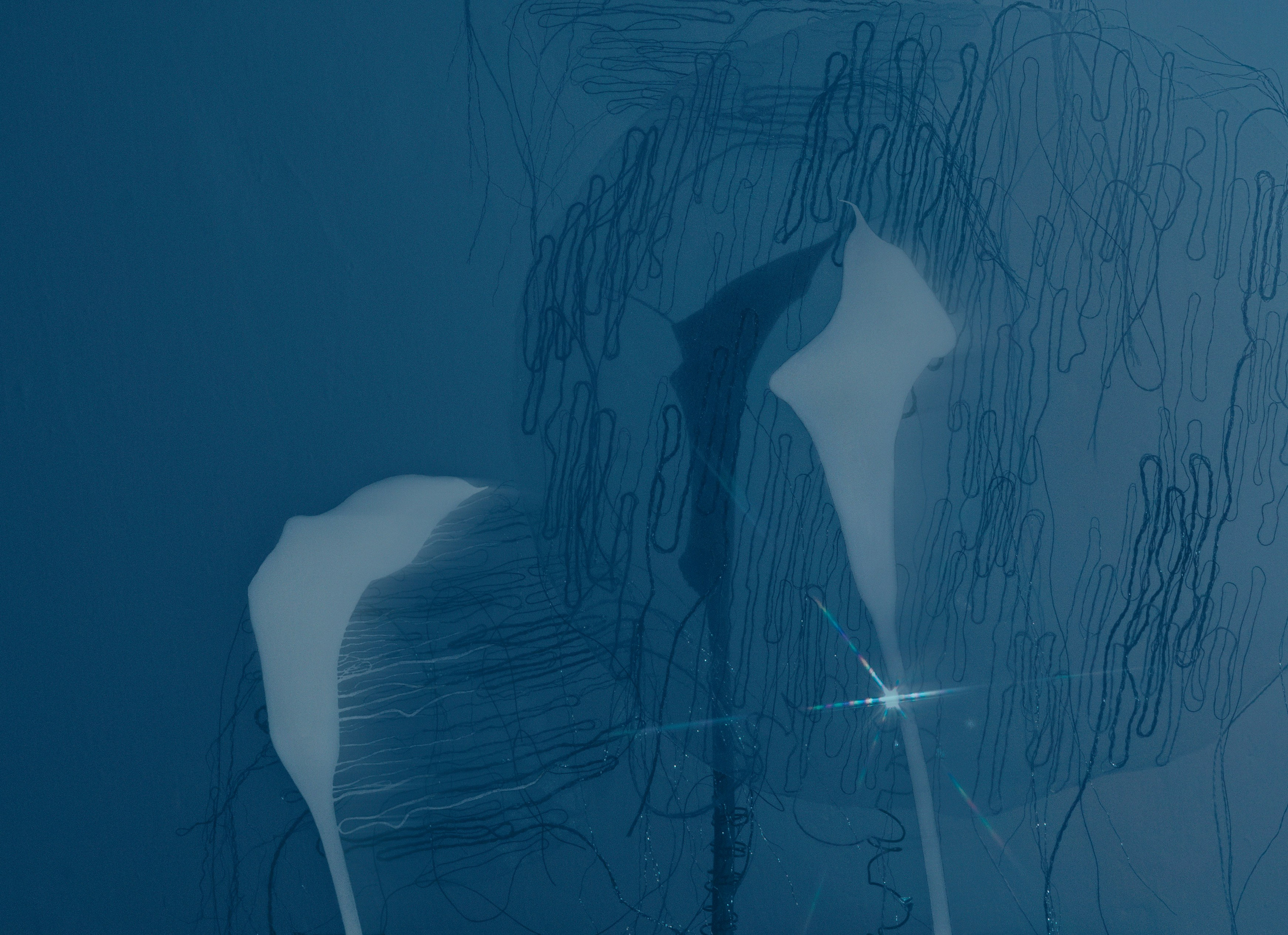 Свет рассыпается. Художественная фотография в Санкт-Петербурге Алина Берёзкина