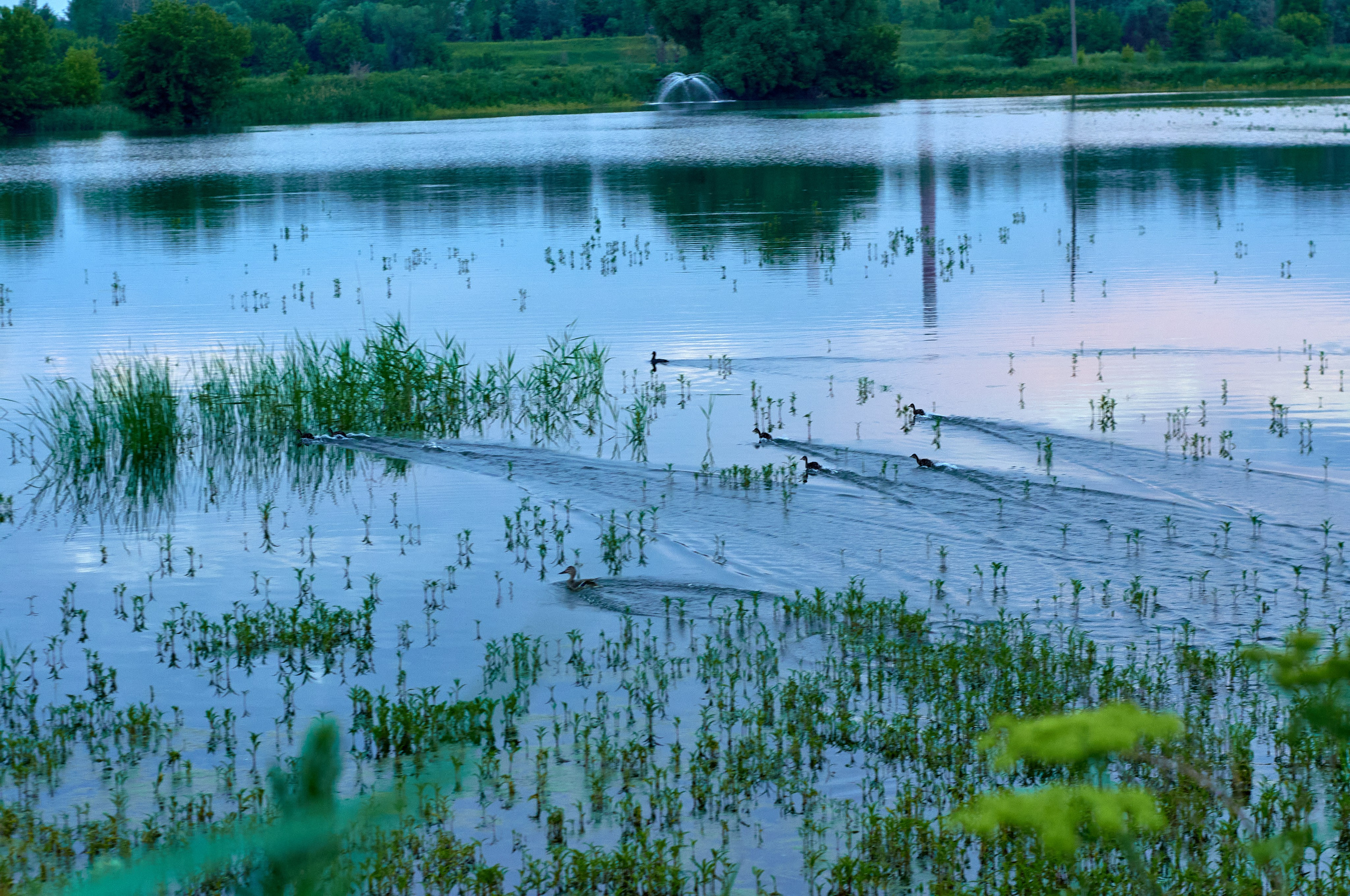 Искусство пейзажа: гармония природы в фотографиях. Координаты красоты — география в фокусе