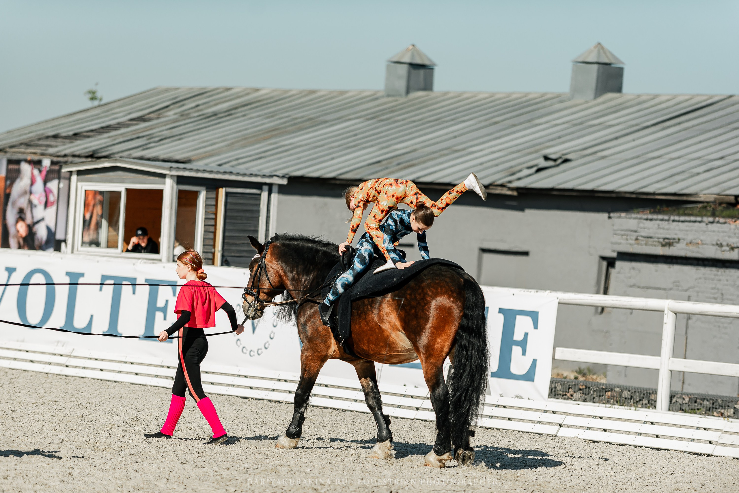 РЕПОРТАЖ МКК ВОЛЬТ «LA TULIPS». Конный фотограф Куракина Дарья • Фотосессии с лошадьми