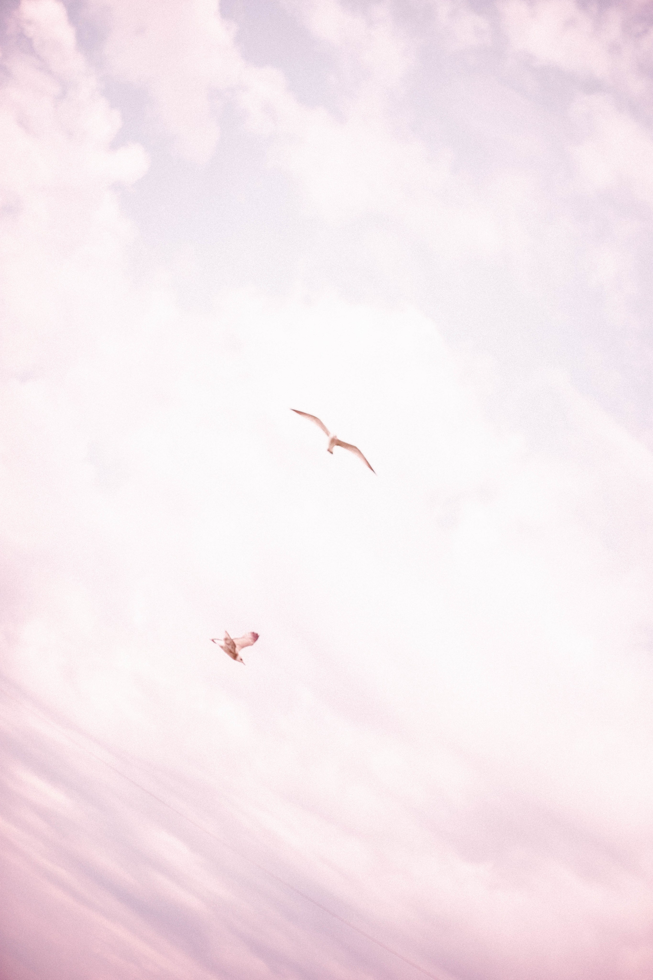 ФотоТуса ГОРЕ-МОРЕ. Фотограф в Нижнем Новгороде