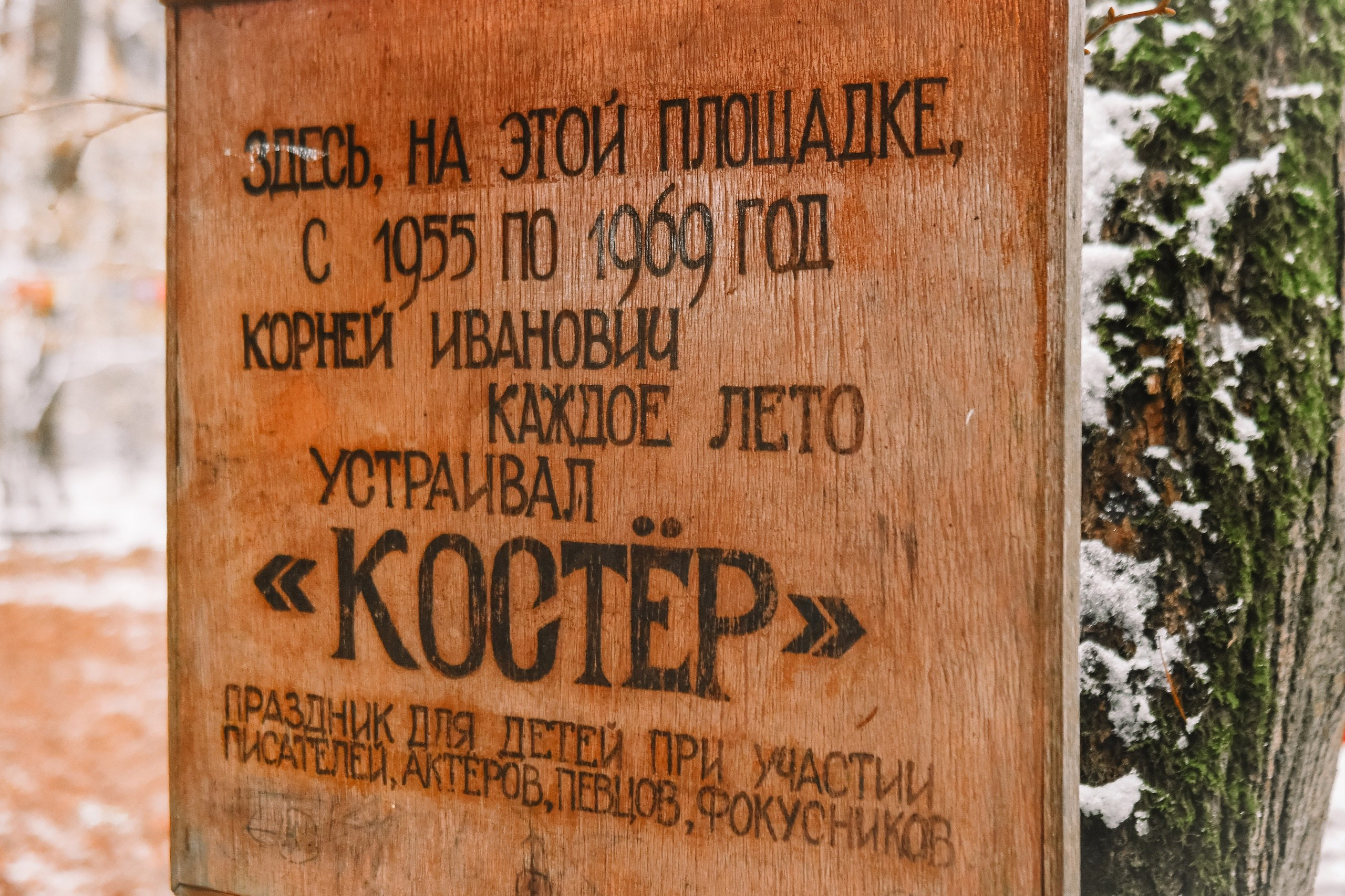 10 сосновых шишек. Kirillova Studio — мастерская декора и событий Юли Кирилловой