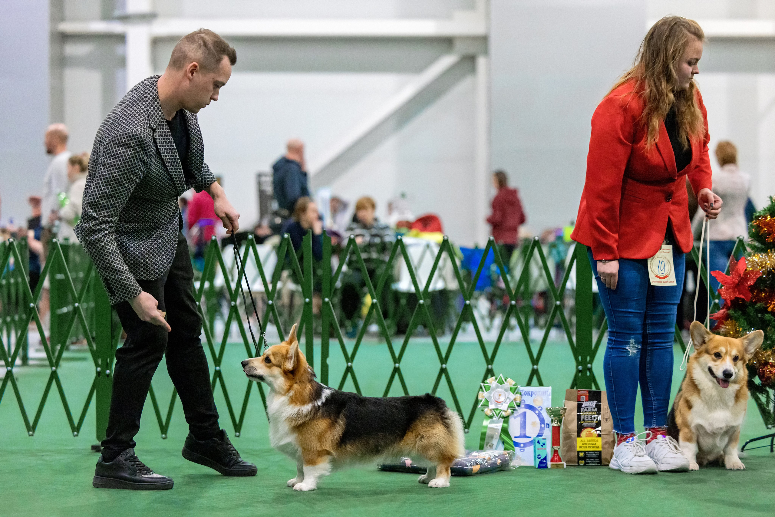 Крокус 3,9 и 10.12.2023. Фотограф-анималист Юлия Германика