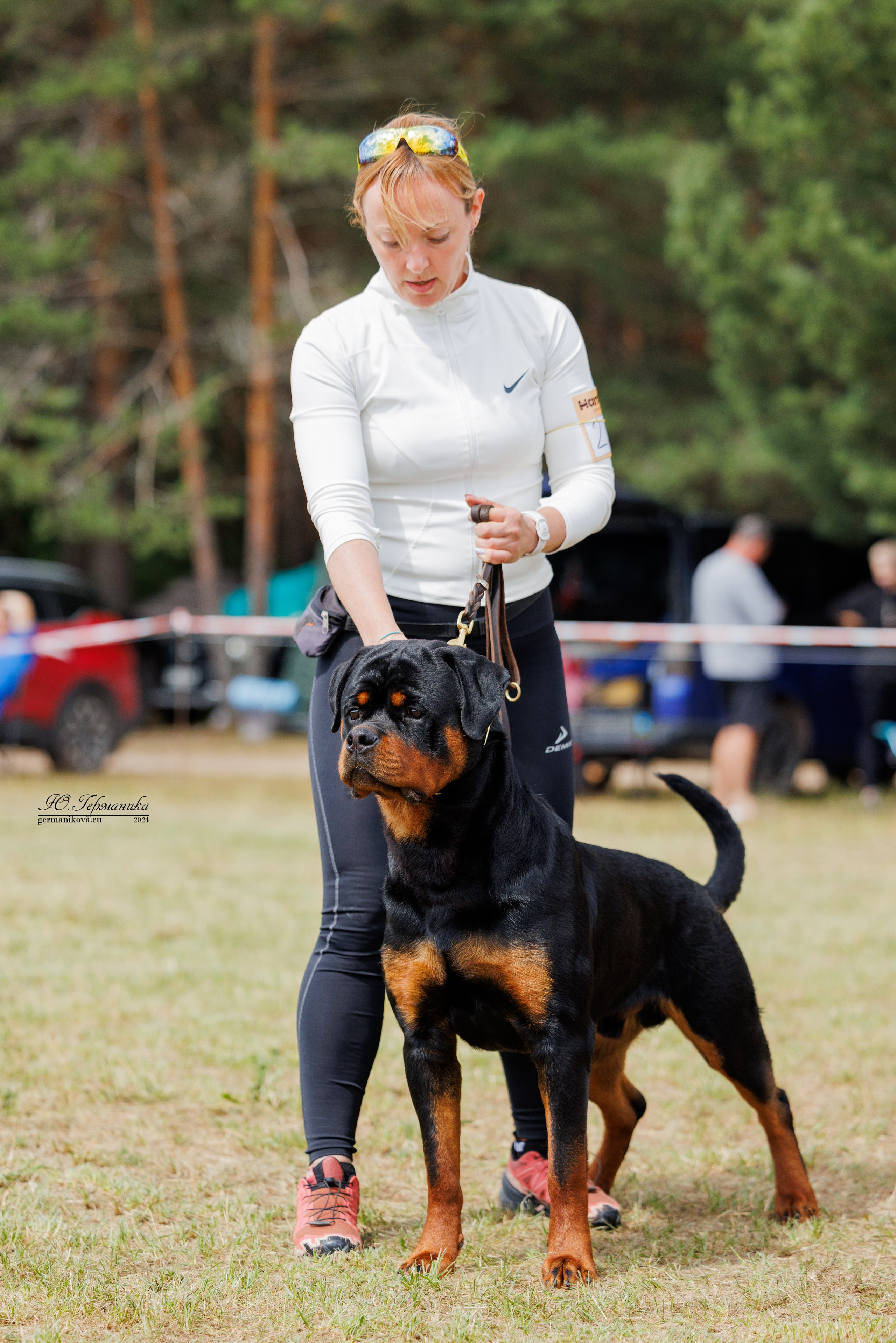 ПК и КЧК ротвейлеры Тверь 6-7.07.2024. Фотограф-анималист Юлия Германика