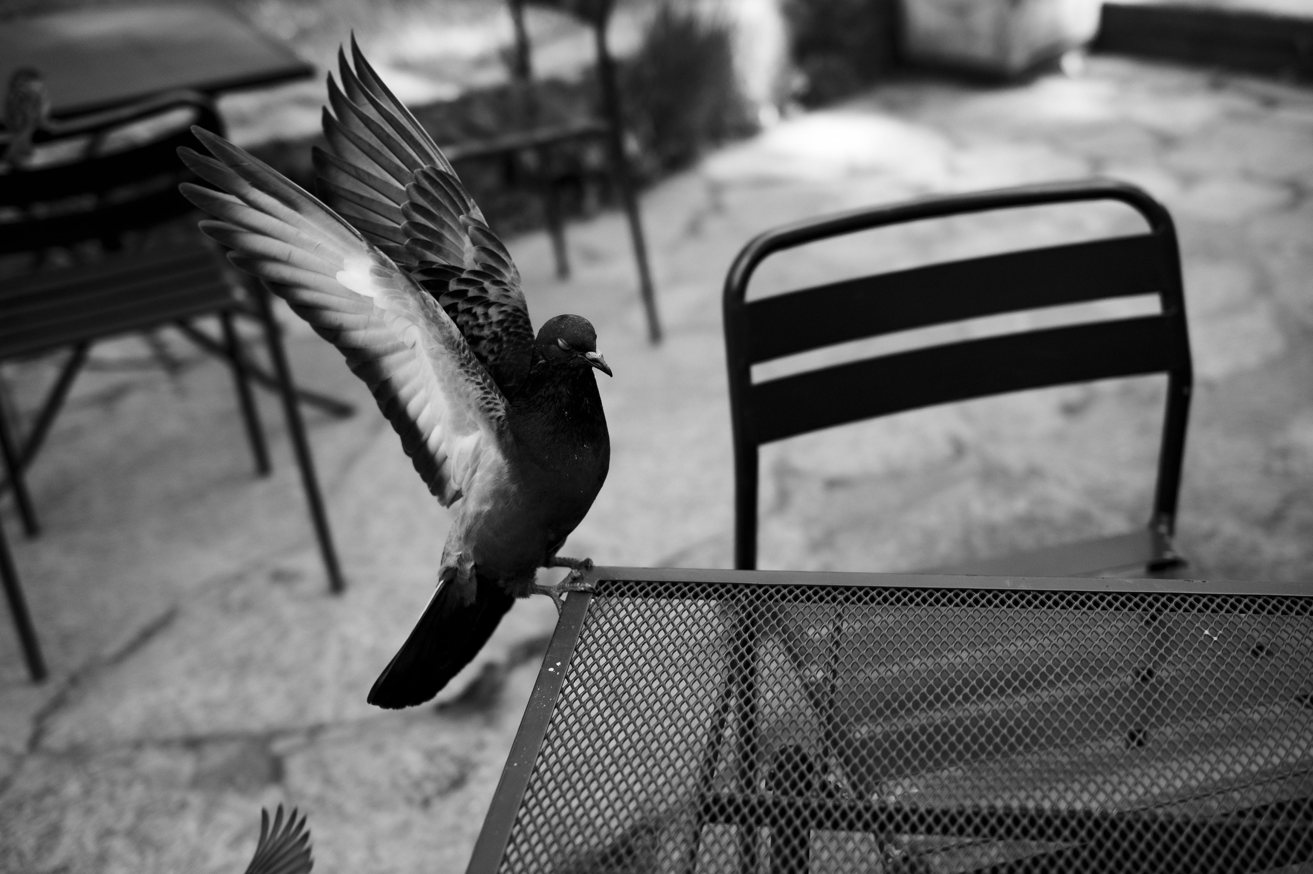 Штормовое предупреждение. May the numbers guide us