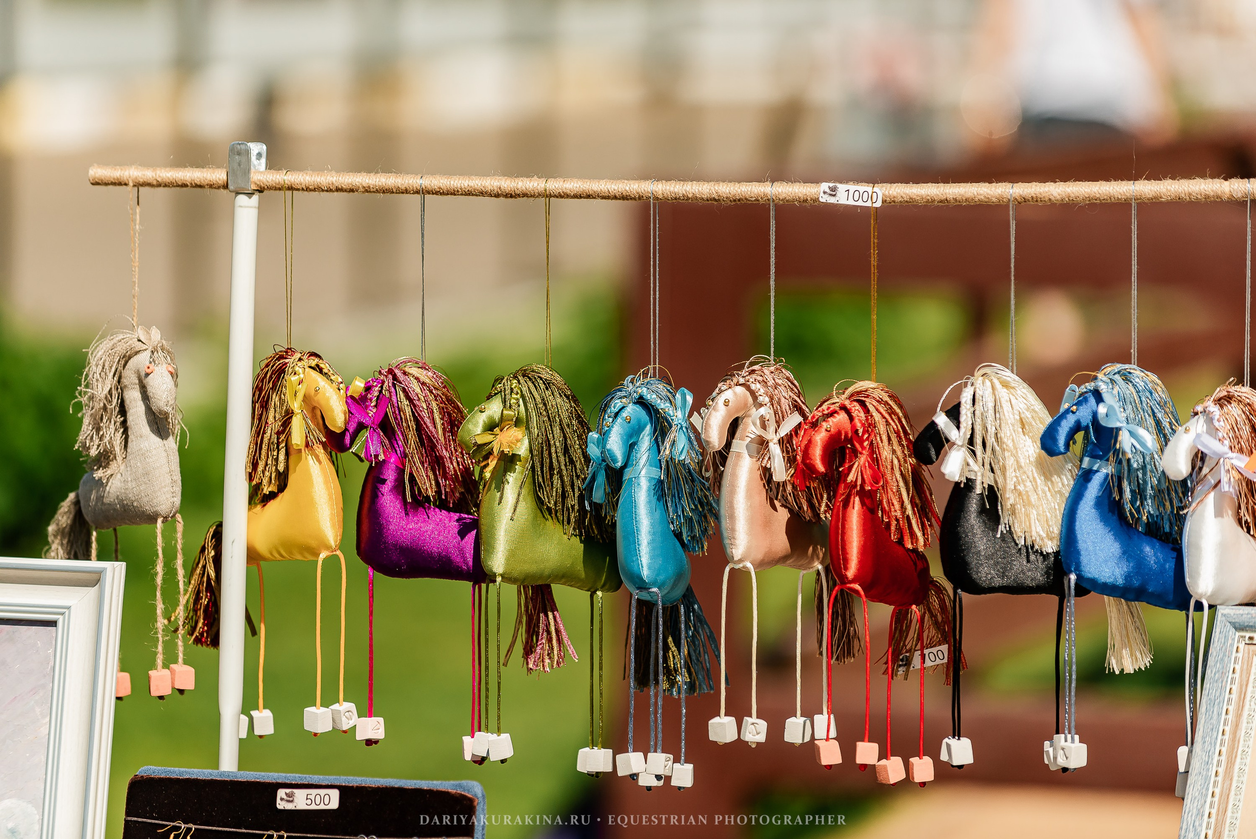 #ПОНИФОРУМ 2024. Конный фотограф Куракина Дарья • Фотосессии с лошадьми