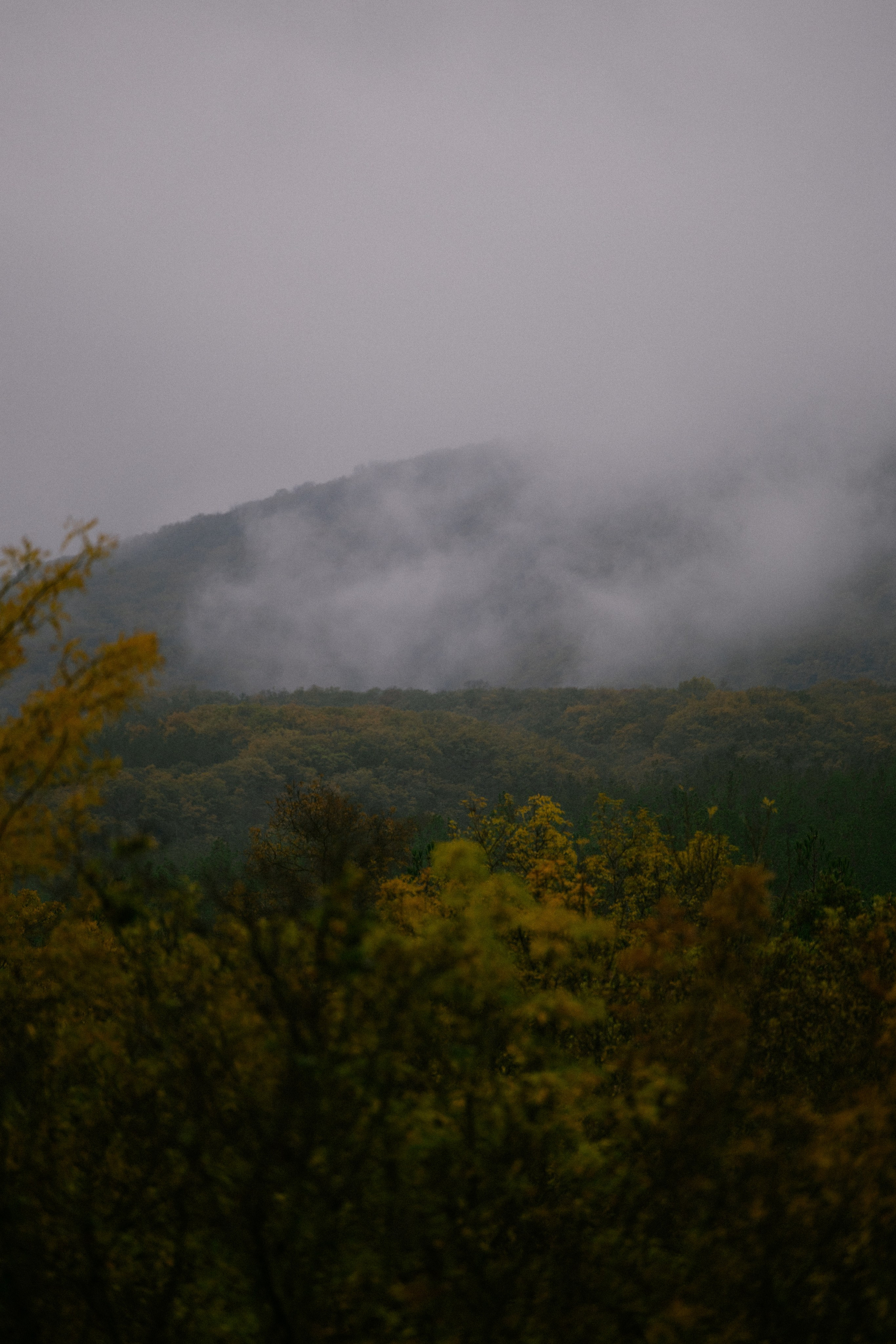 Свадебный и репортажный фотограф Новороссийск, Краснодар, Сочи Олеся Дзюба