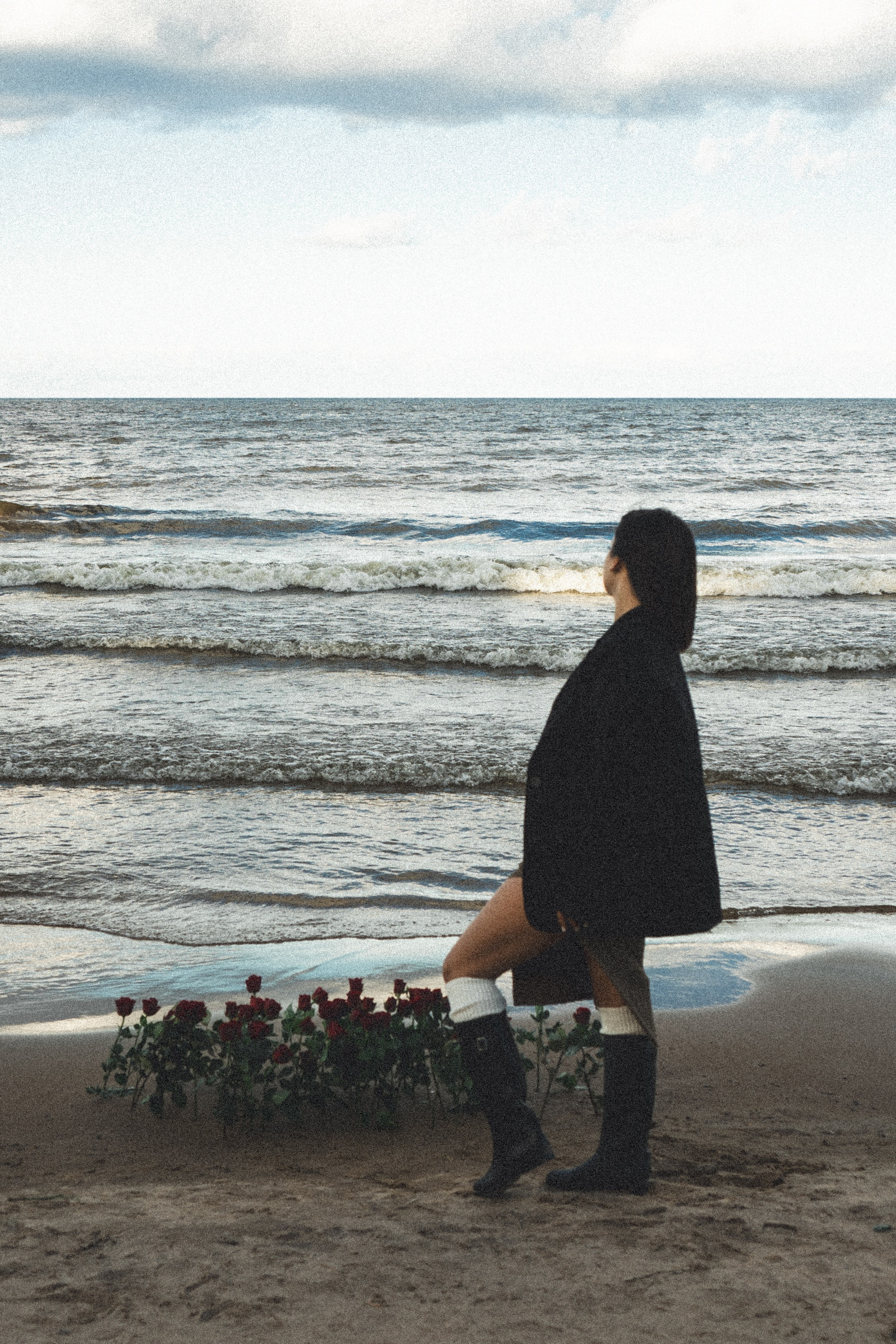 Розы. Профессиональный фотограф, Санкт-Петербург — Виктория Богомолова