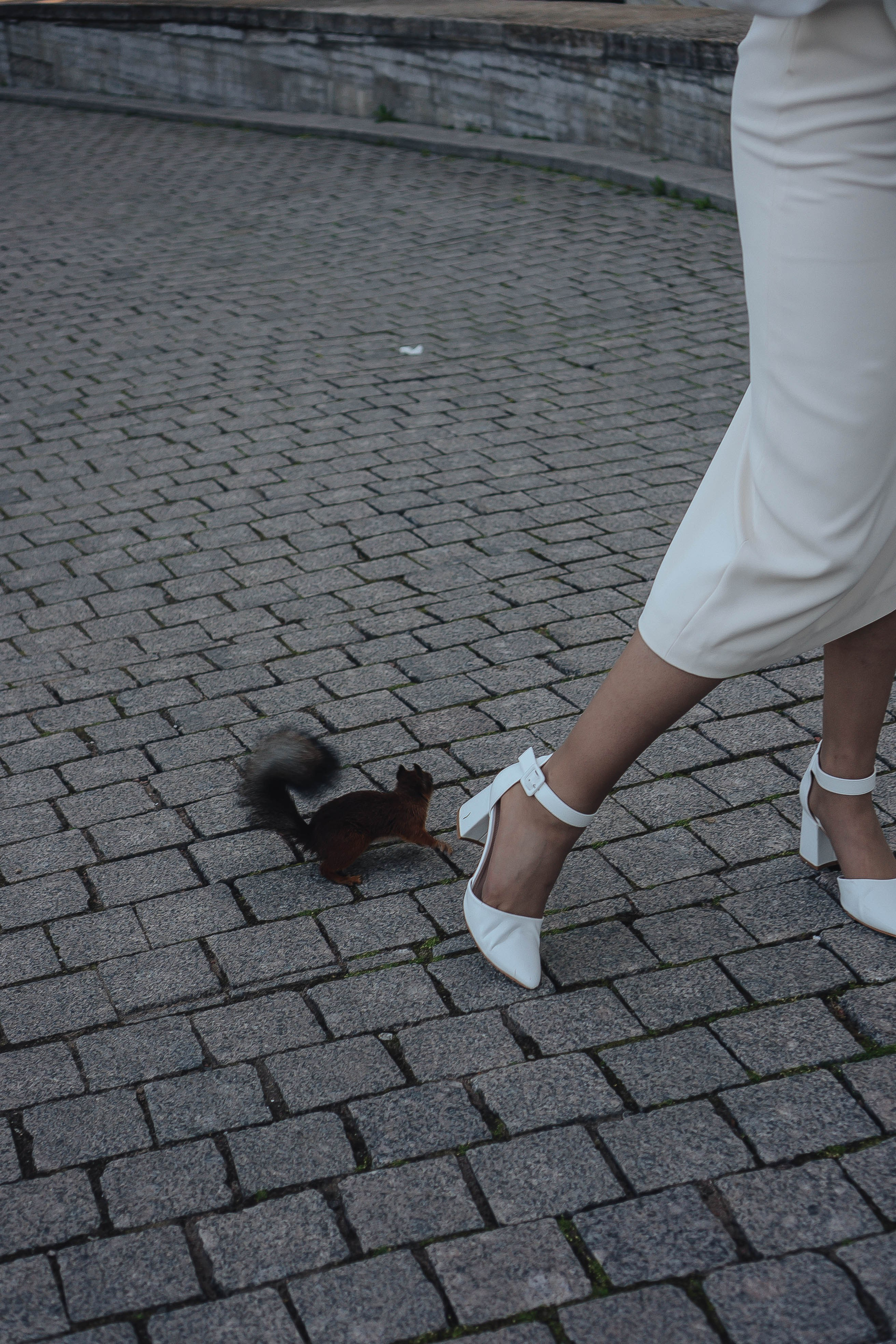 СВАДЕБНАЯ СЬЕМКА НА РАССВЕТЕ НА ЕЛАГИНОМ ОСТОРОВЕ. Профессиональный фотограф, Санкт-Петербург — Виктория Богомолова