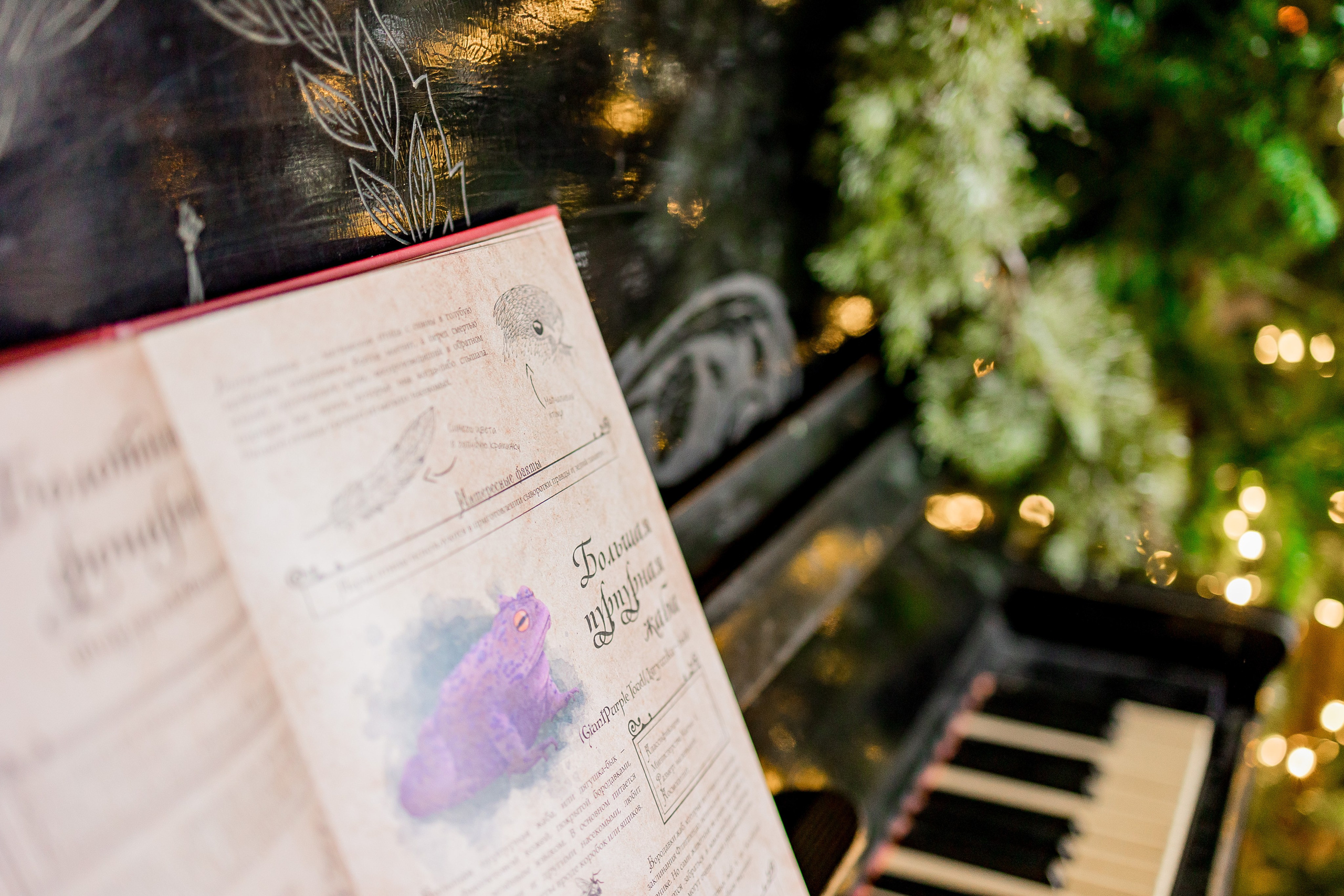 Малый (ДЕТСКИЙ). Фотостудия ЭМБЕР город Артём