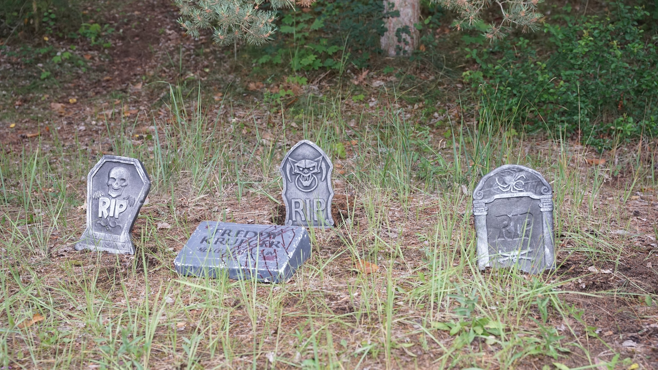 Походная Романтика 42. Проклятие древней поляны | 16-18.07.23. Галерея Фантим