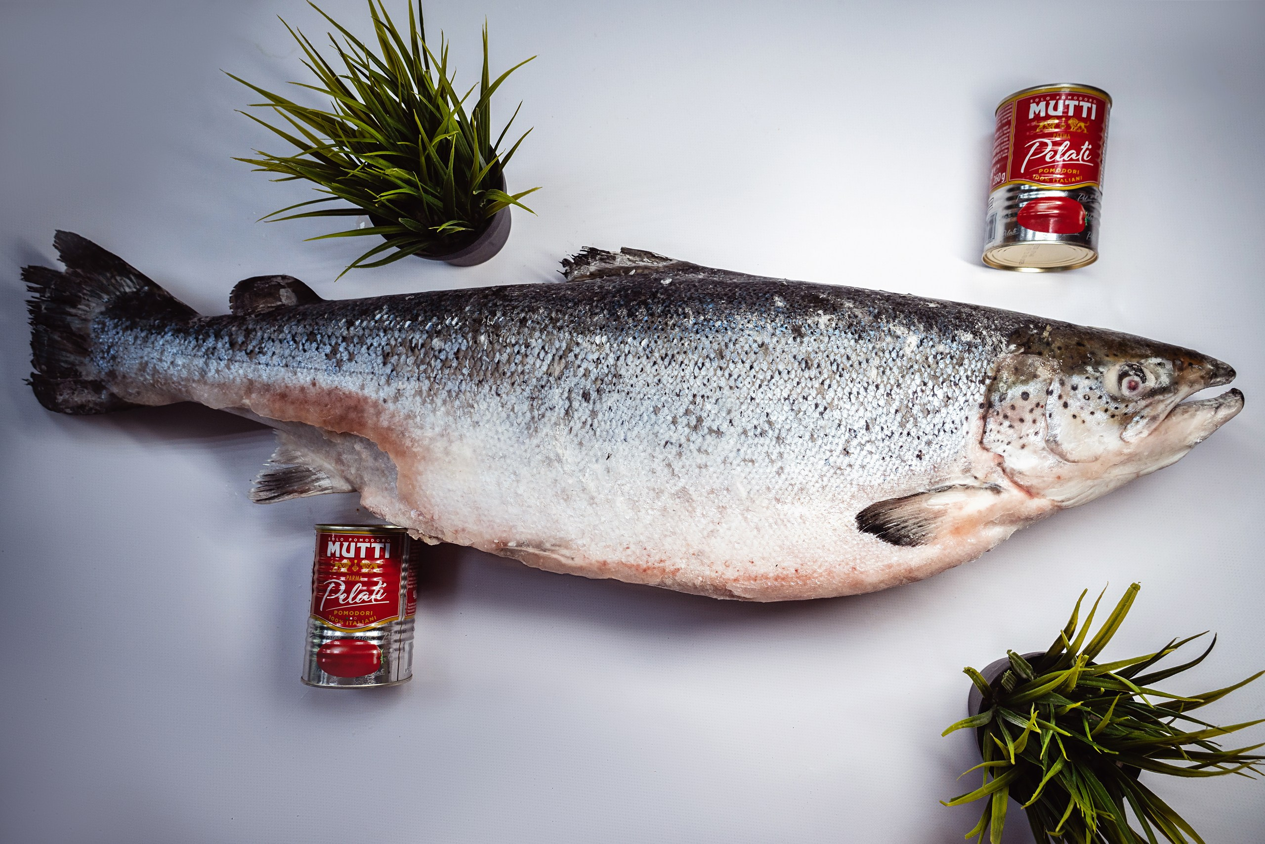 Food. Профессиональный фотограф в Волгодонске Алексей Рубашевский