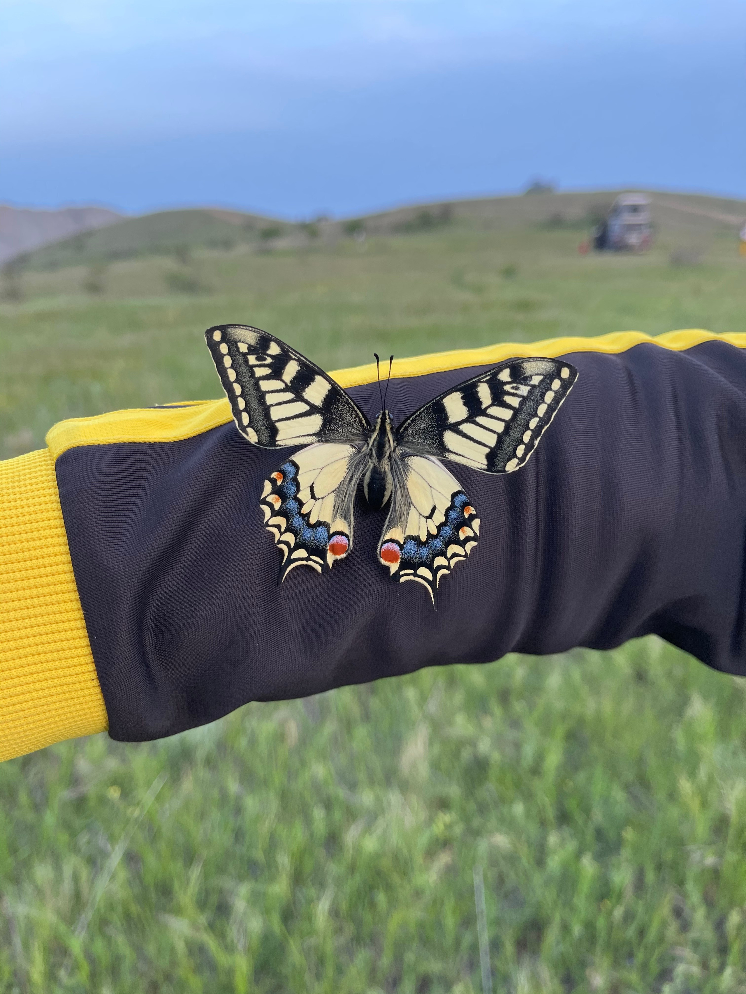 Крым — 21. Своя Мастерская