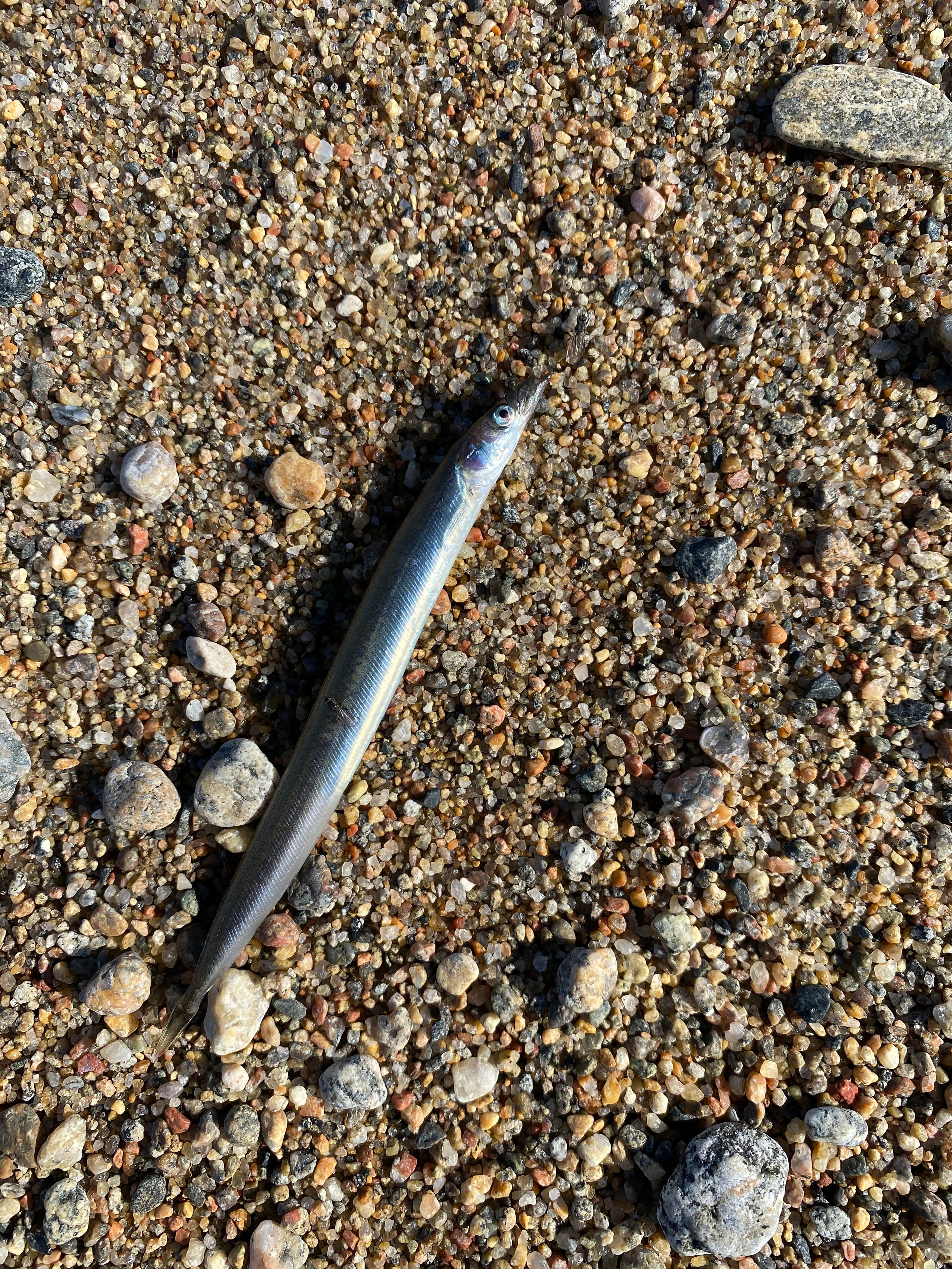 Териберка — 20. Своя Мастерская