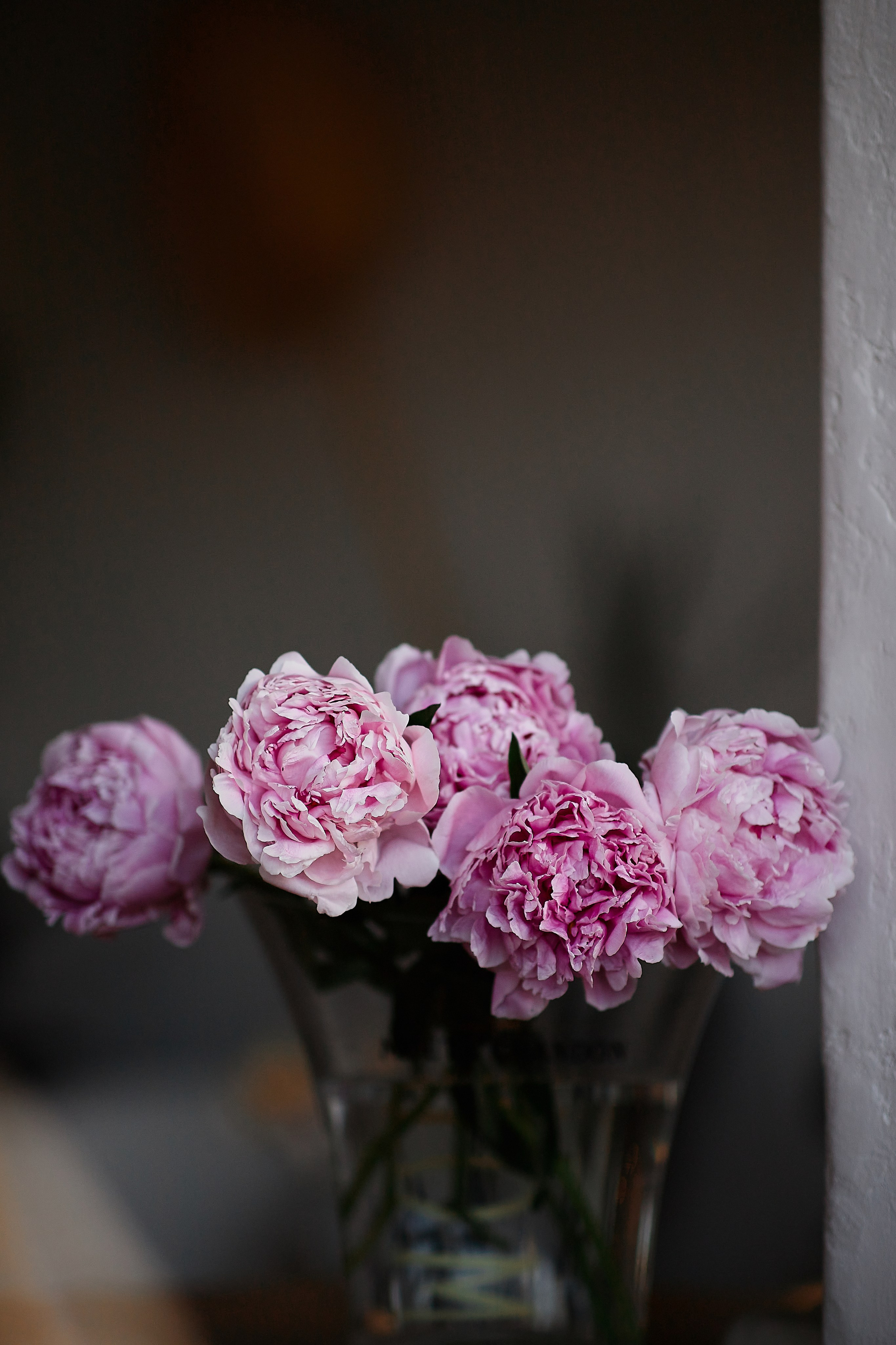 Фотосессия Анны Гребцовой ресторан Айвазовский. Свадебный и семейный фотограф в Сочи-Красной поляне Ларионова Анна