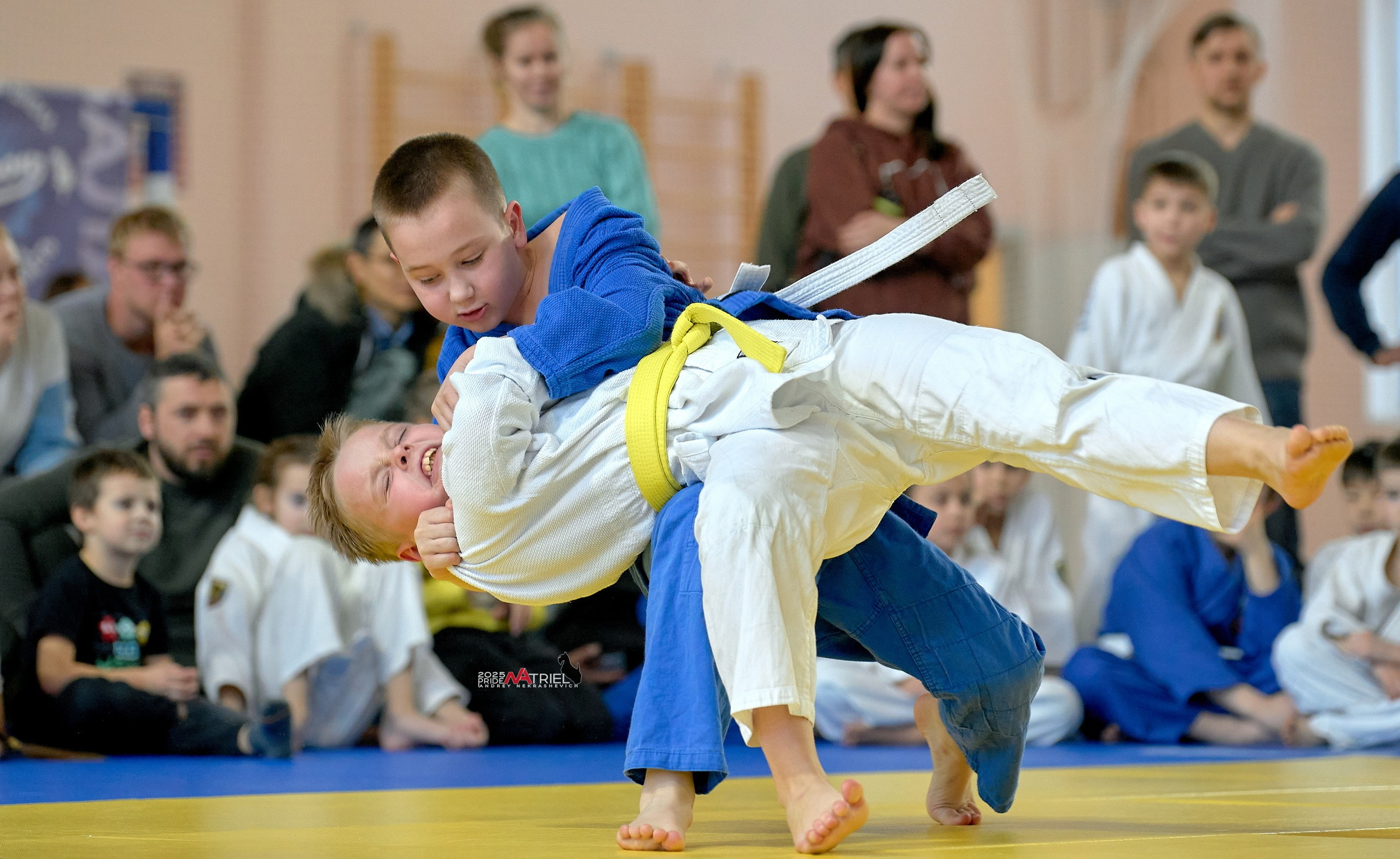 Репортаж с соревнований по дзюдо