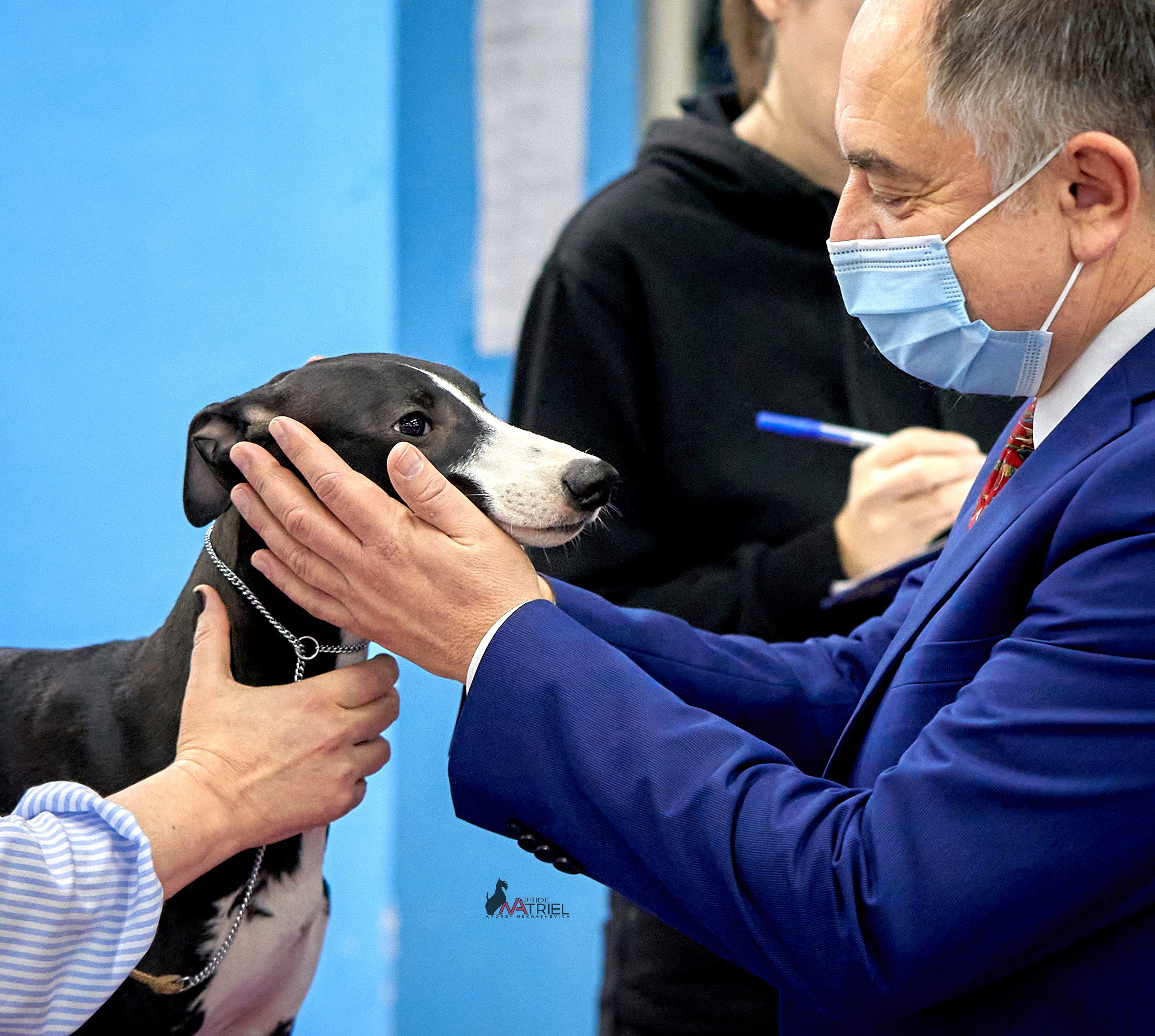 Работа в рингах — галерея NATRIEL