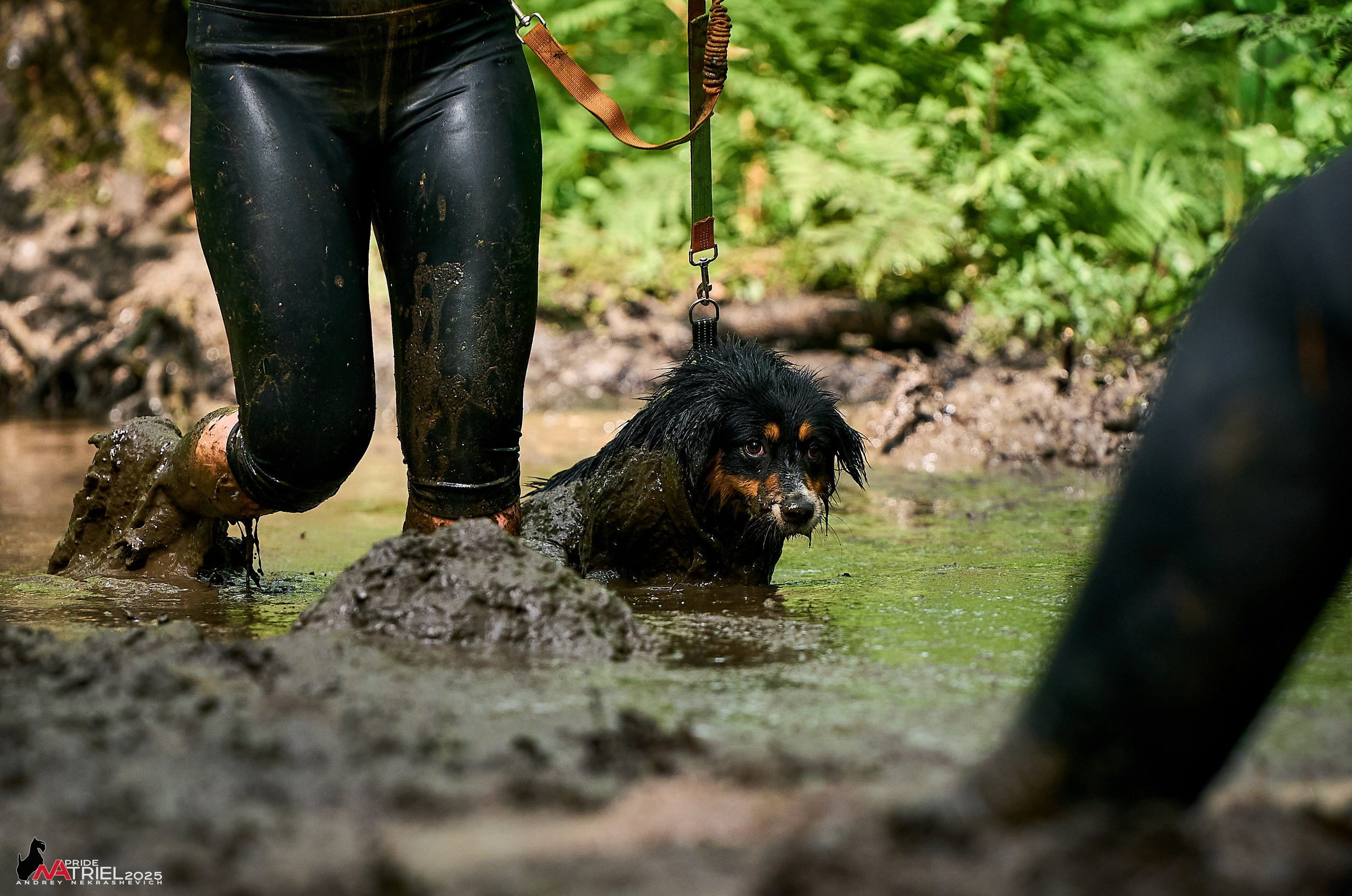 Russian Extreme Dog Trail — 2025