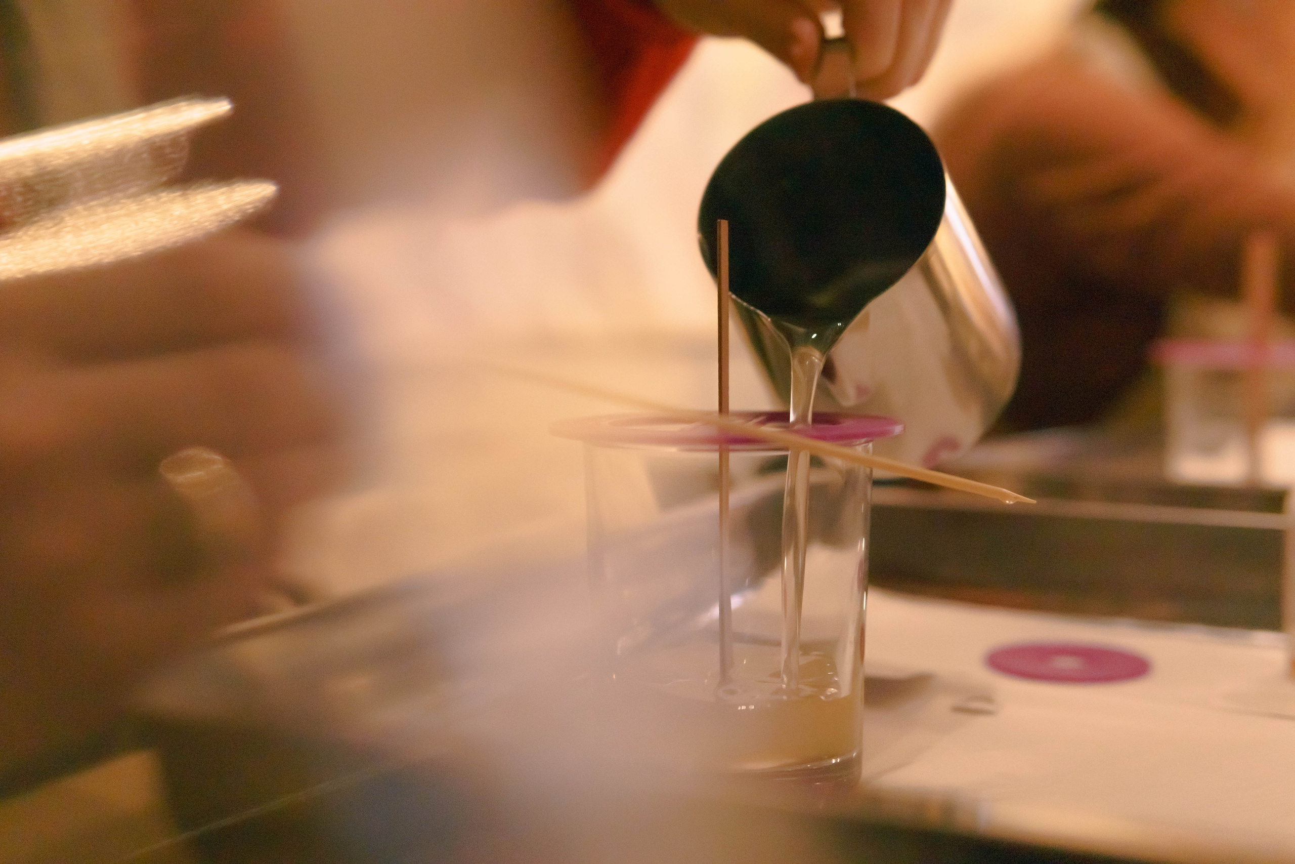 Новогодний мастер-класс по изготовлению свечей. Фотограф-анималист Ксения Воробьева, Москва