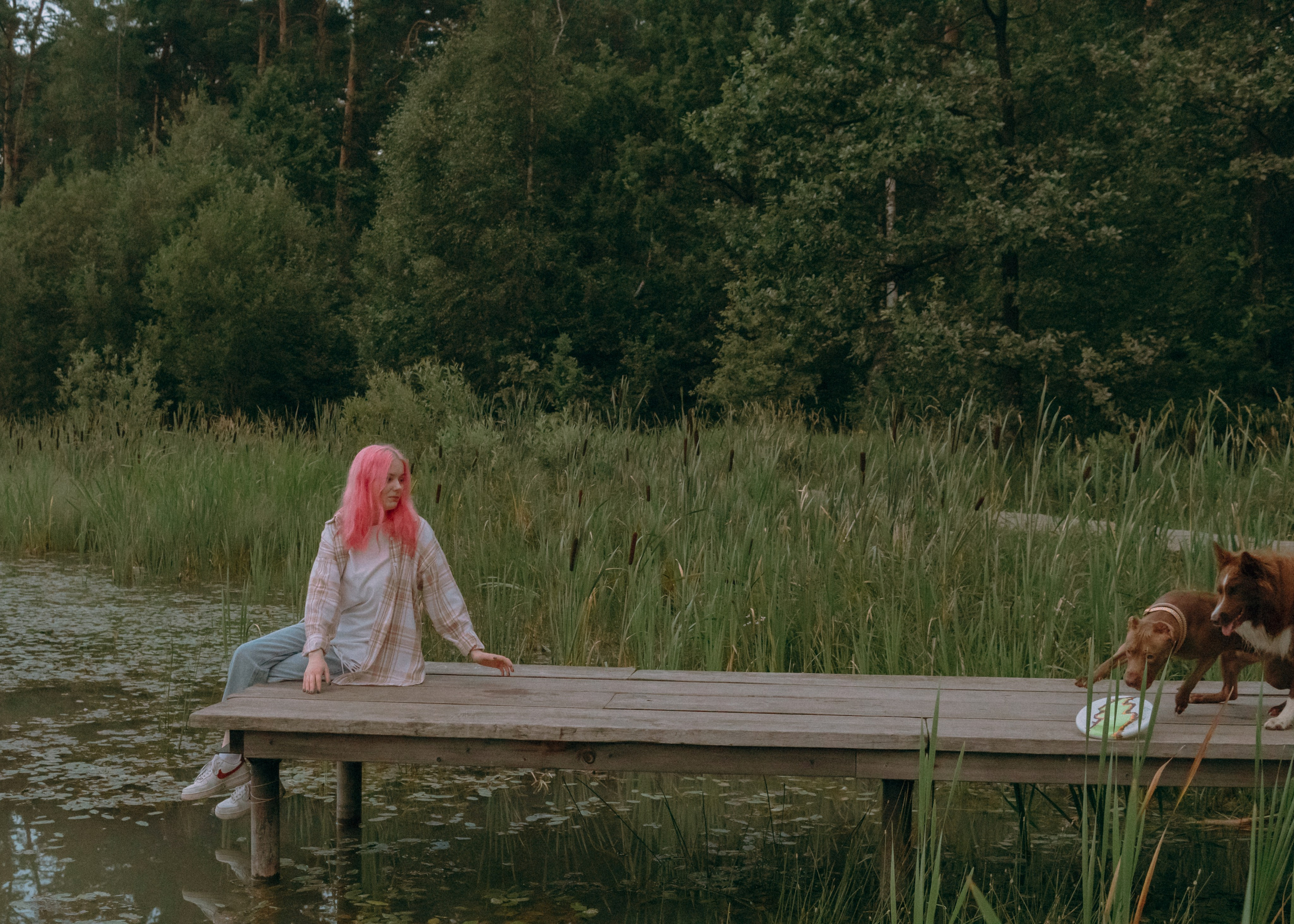 Виолетта, Лила и Питер. Фотограф-анималист Ксения Воробьева, Москва