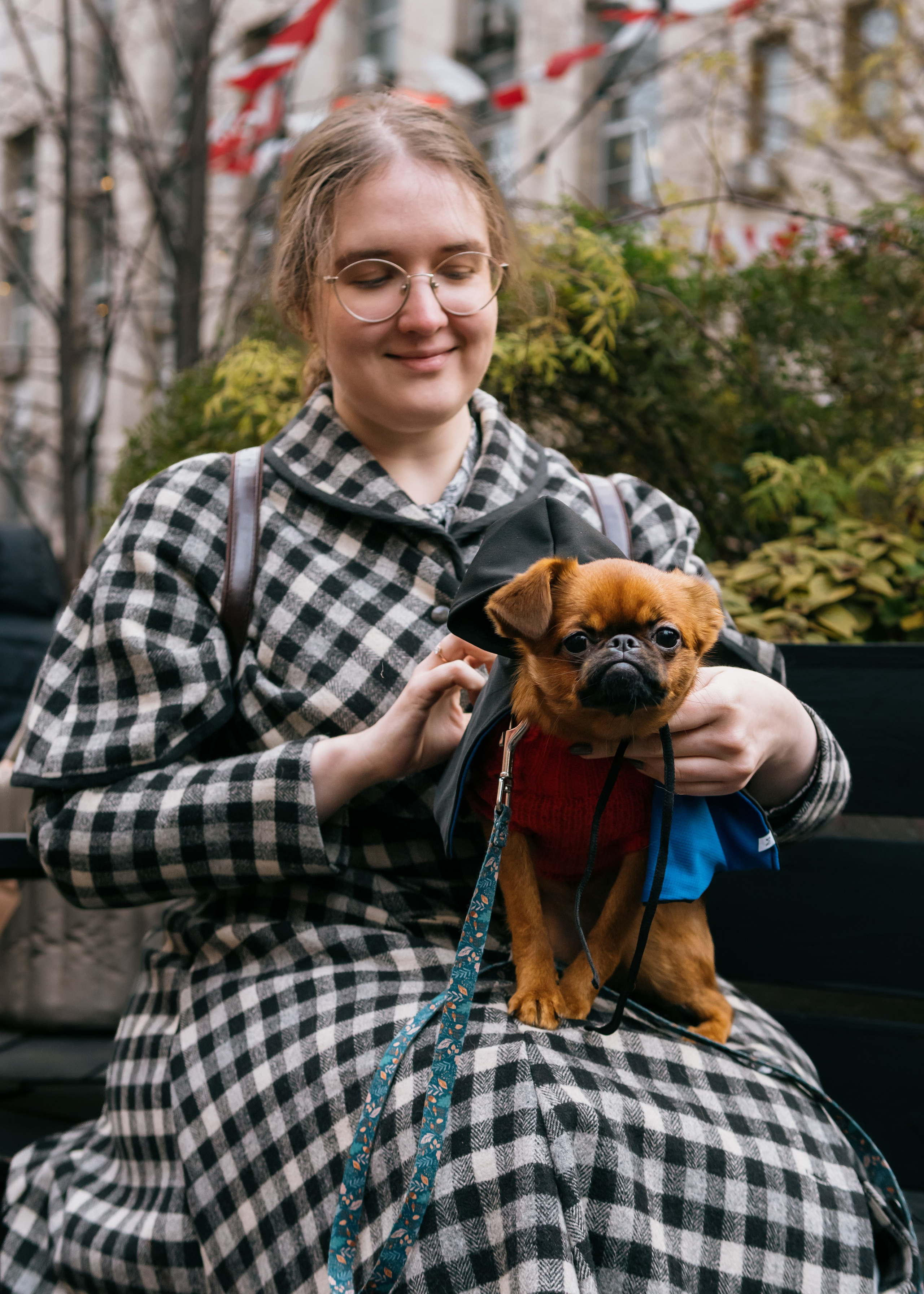 Тематическая встреча породников «Griffween». Фотограф-анималист Ксения Воробьева, Москва