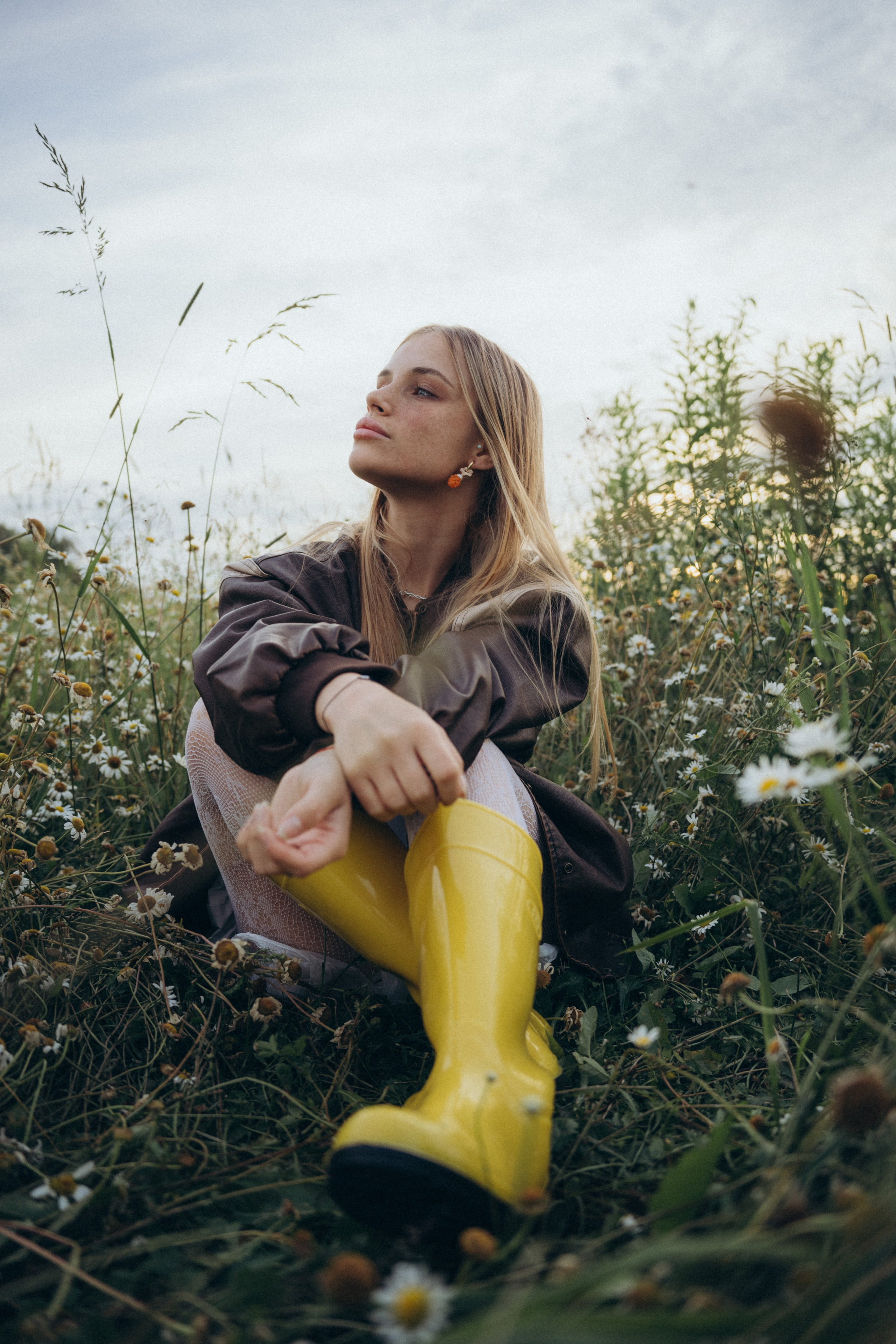 Ромашки. Фотограф Москва