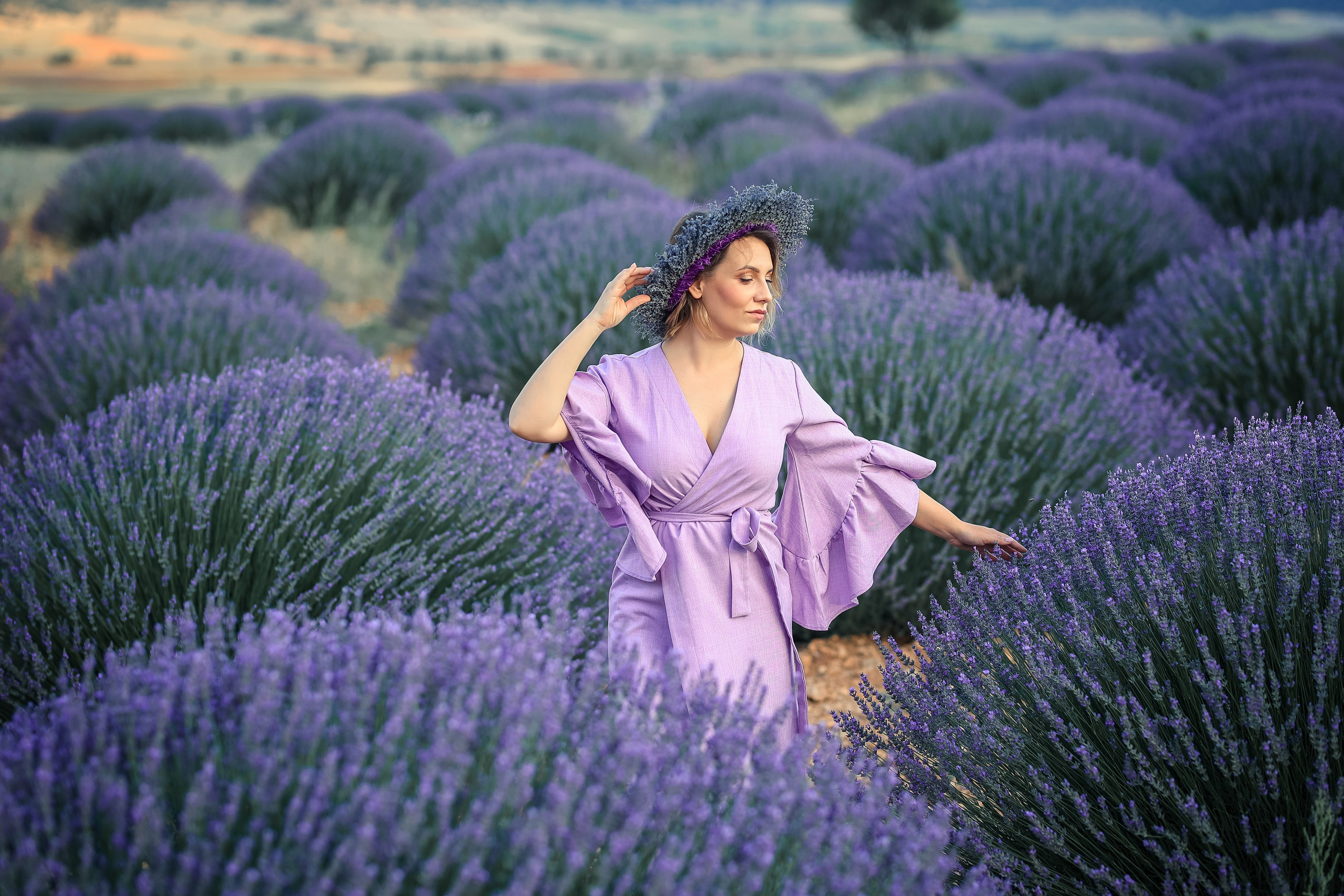 Lavender fields in Turkey
