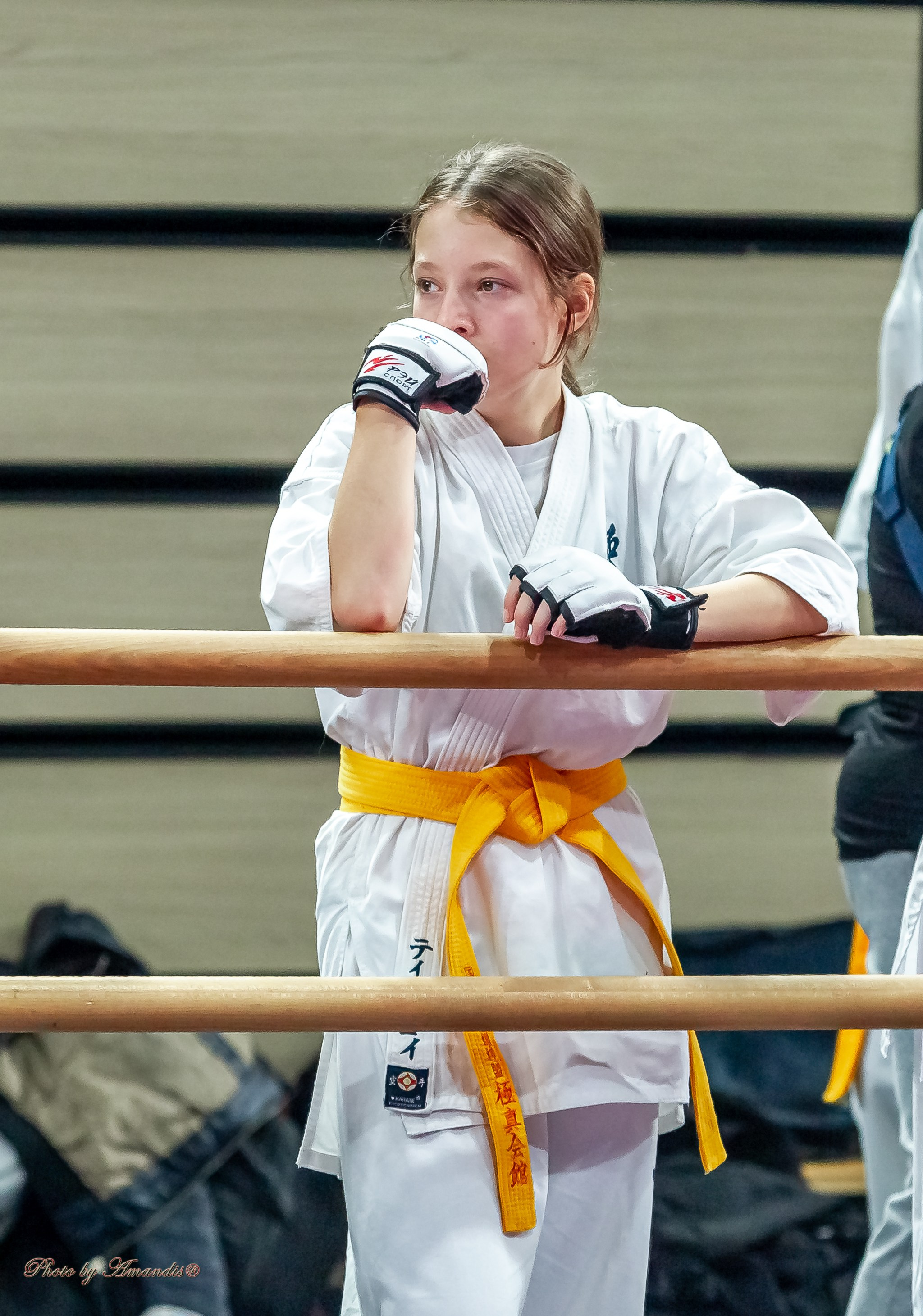Первенство Московской области по Киокушин в СК «Жаворонки». Репортажная съемка в Москве и области. Анималистика