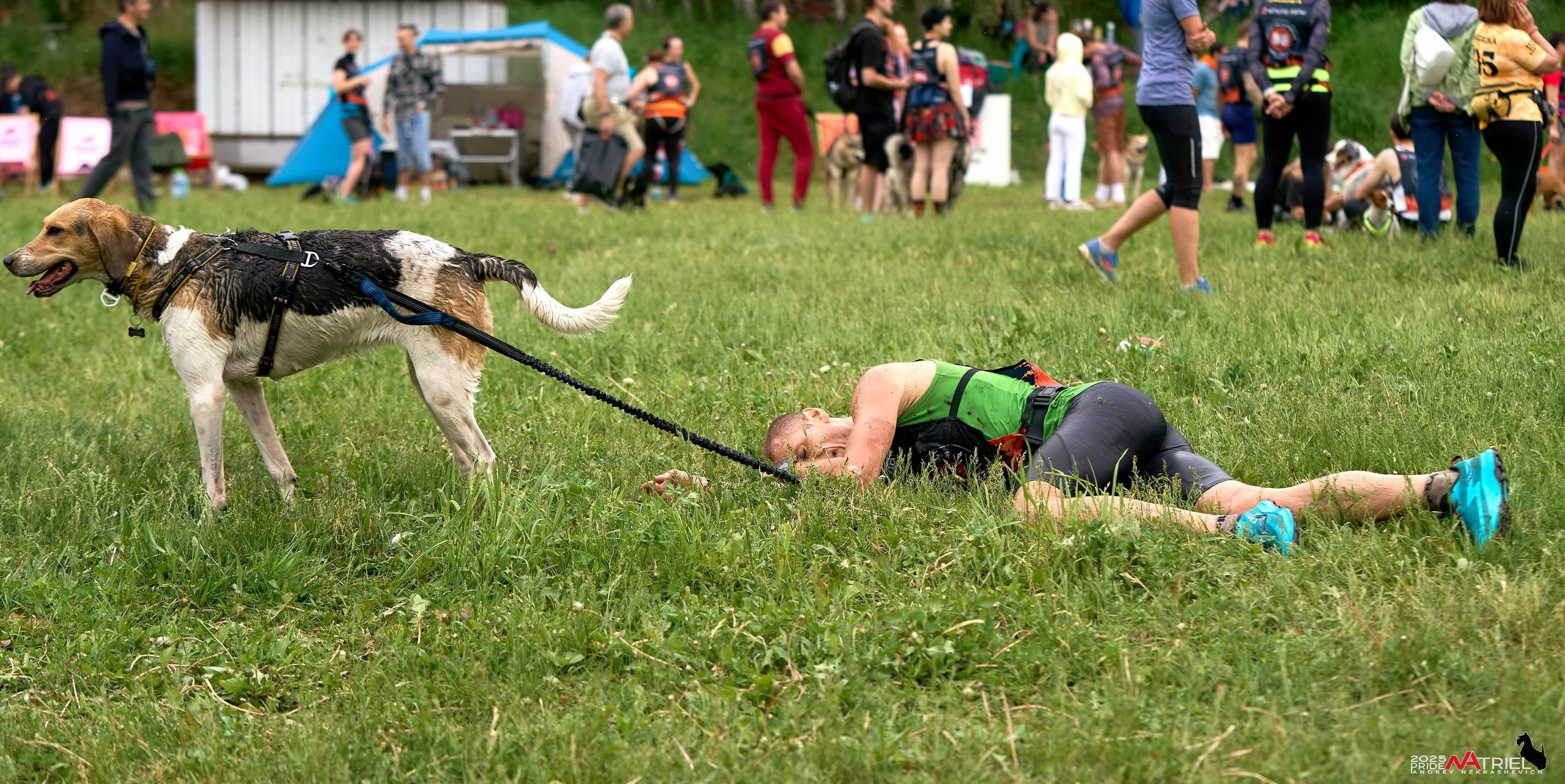 Russian Extreme Dog Trail — 2025